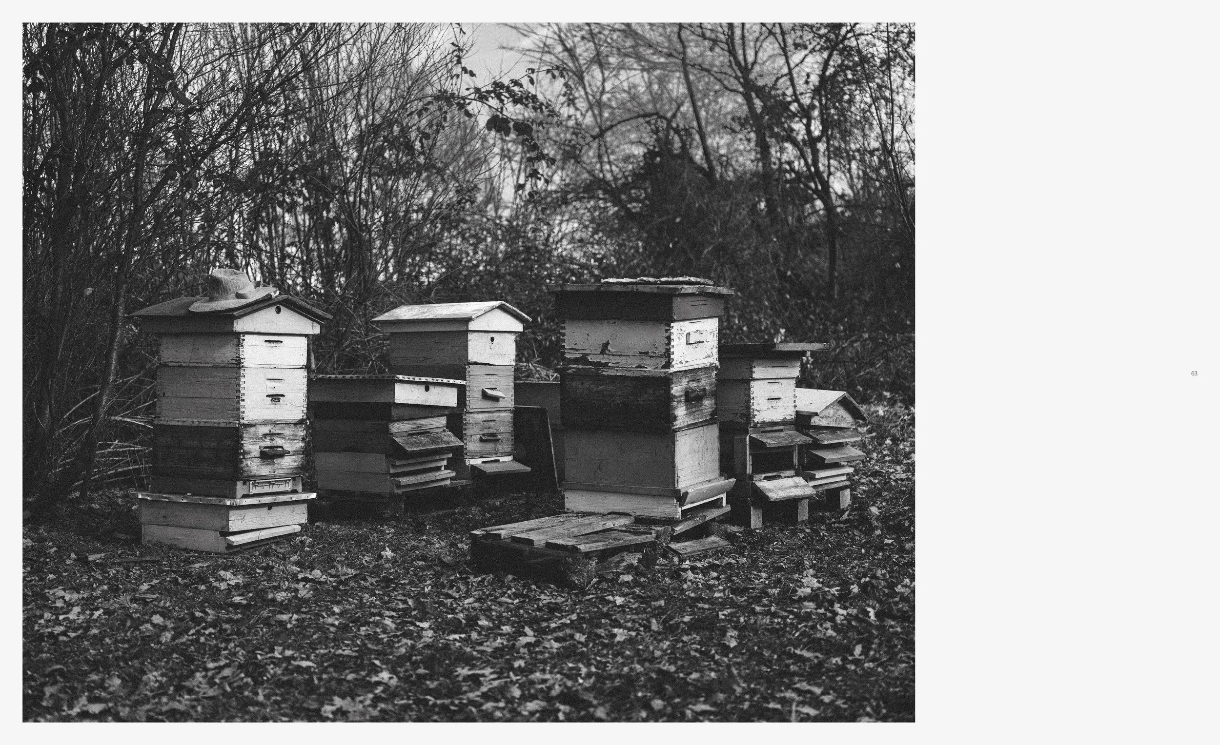 _Beekeeper_Book_part_I_270x330_2025_site_32.jpg