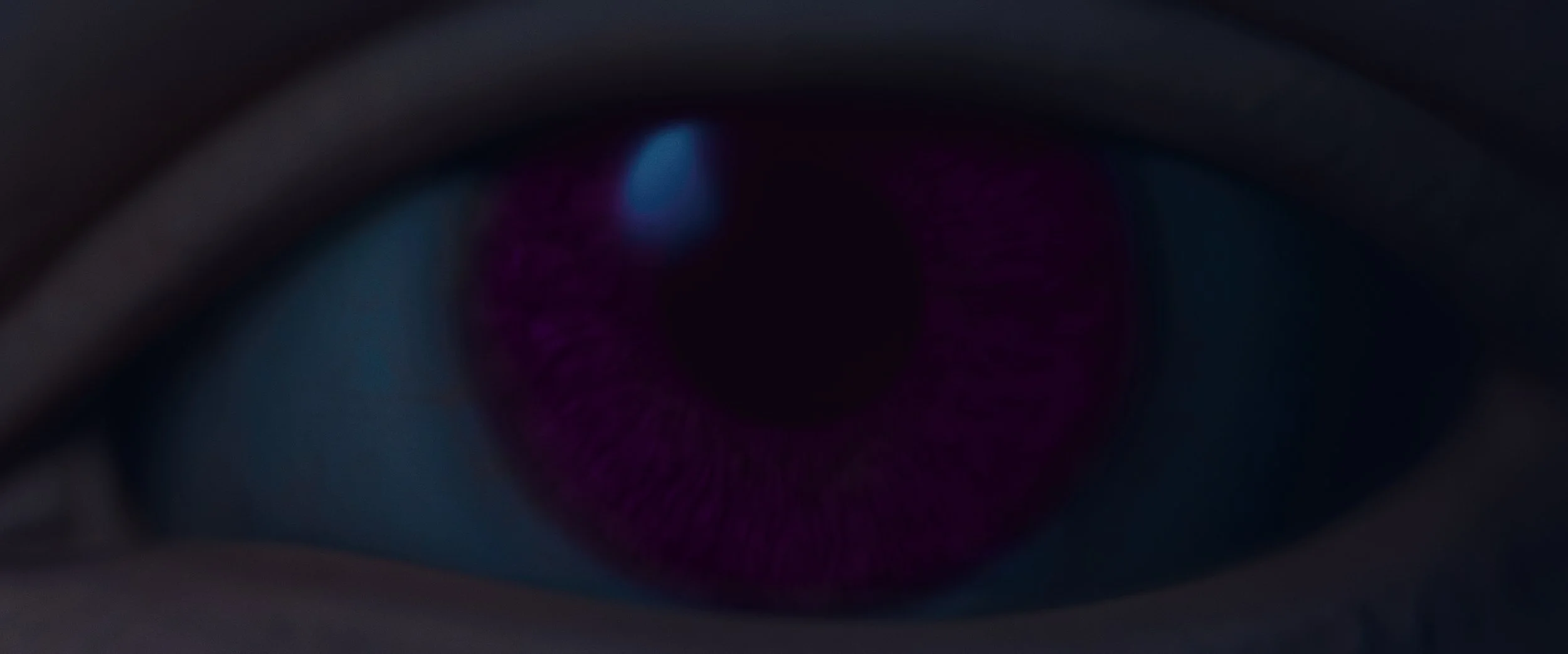 jpgframegrabslabin_3.5.1.jpg