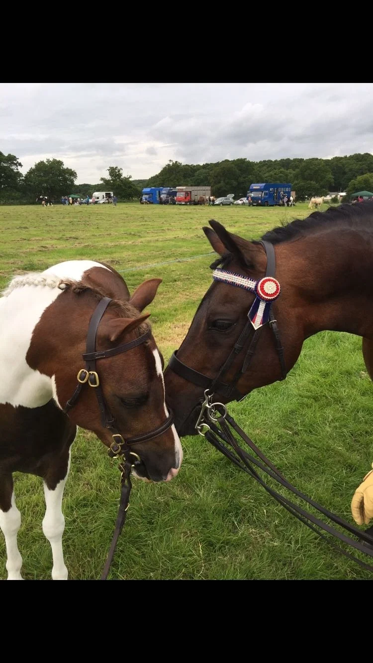 659ddfaf-6978-4bd9-a1f4-2109a777ed22 (1).JPG