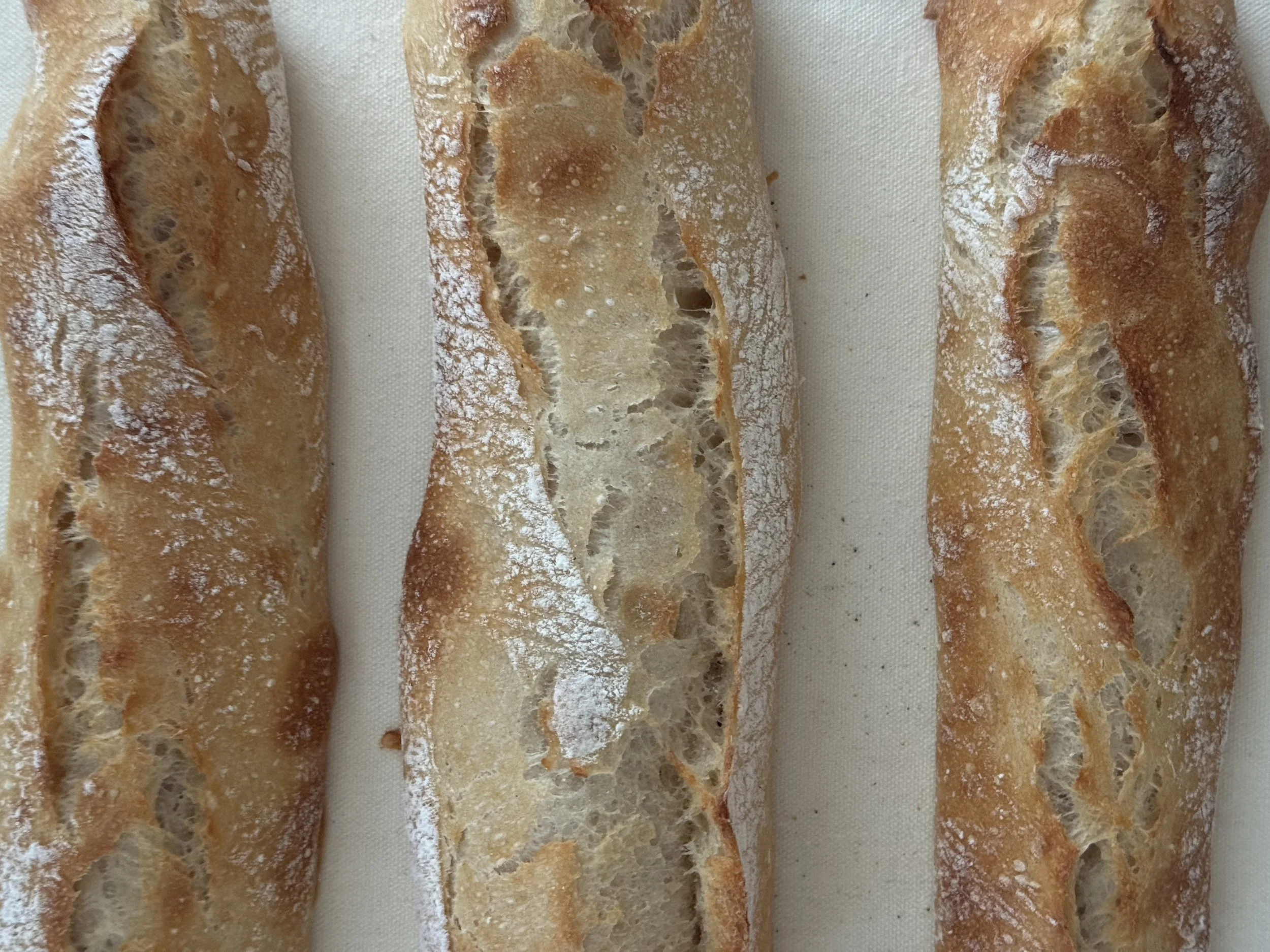 Crispy Sourdough Baguettes (Bakery-Style, 3 Baguettes)