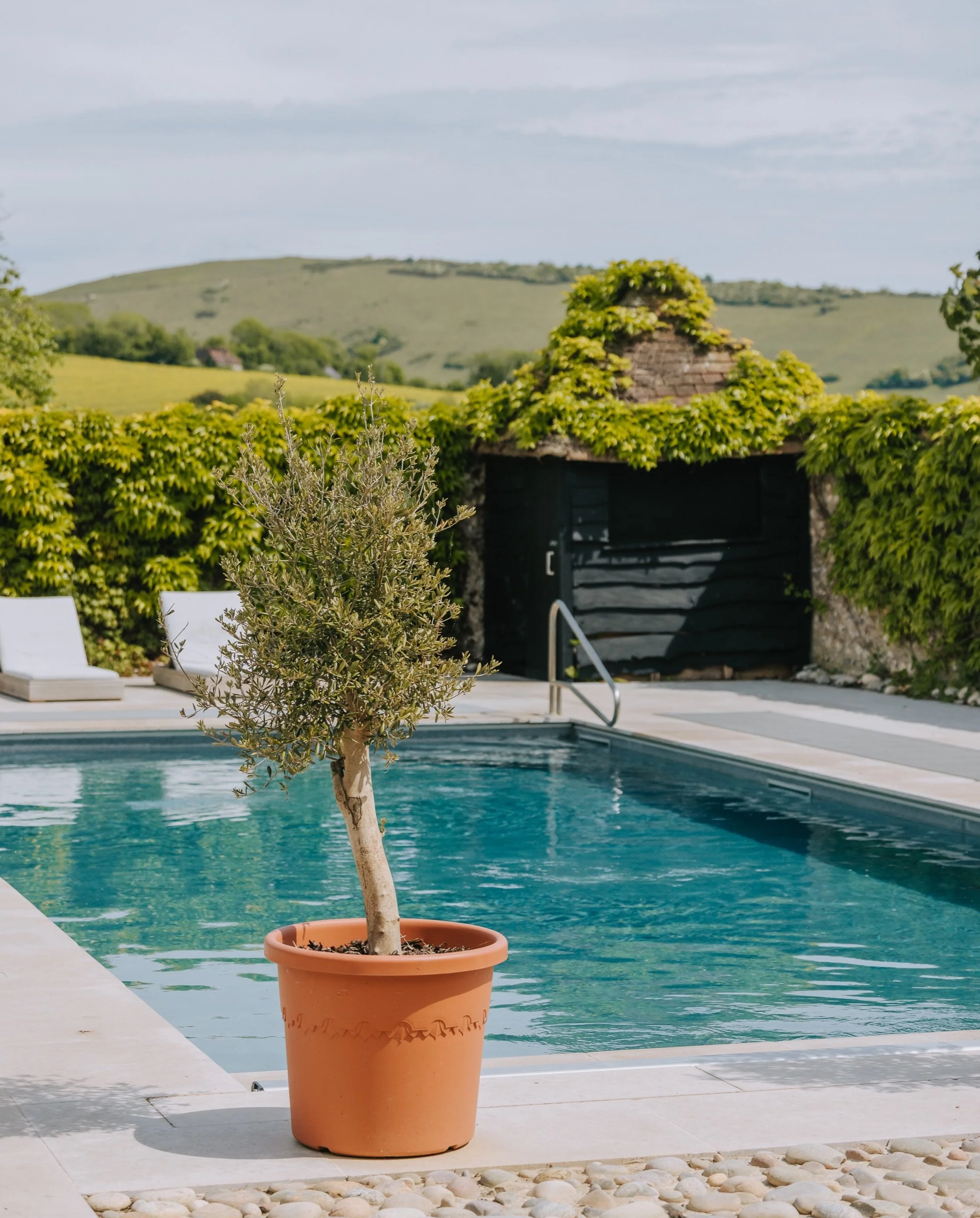 A glimpse from a recent content shoot at The Alfriston.

Our aim was to create imagery that felt light, bright and inviting, showcasing not only the beautiful grounds and character of the hotel, but also their stunning new menu. Every detail was care
