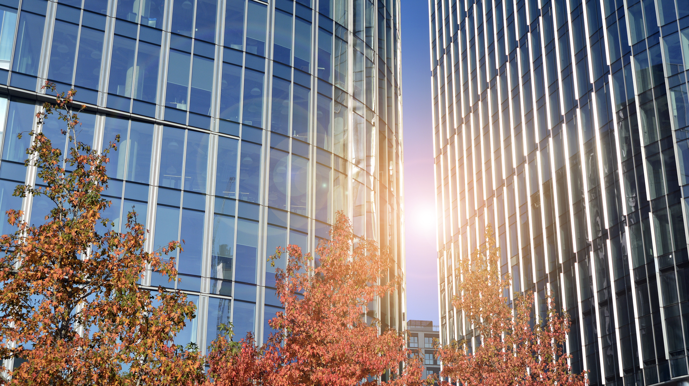 Autumn Facilities Checklist: Preparing Your Commercial Buildings for the Busy Months Ahead