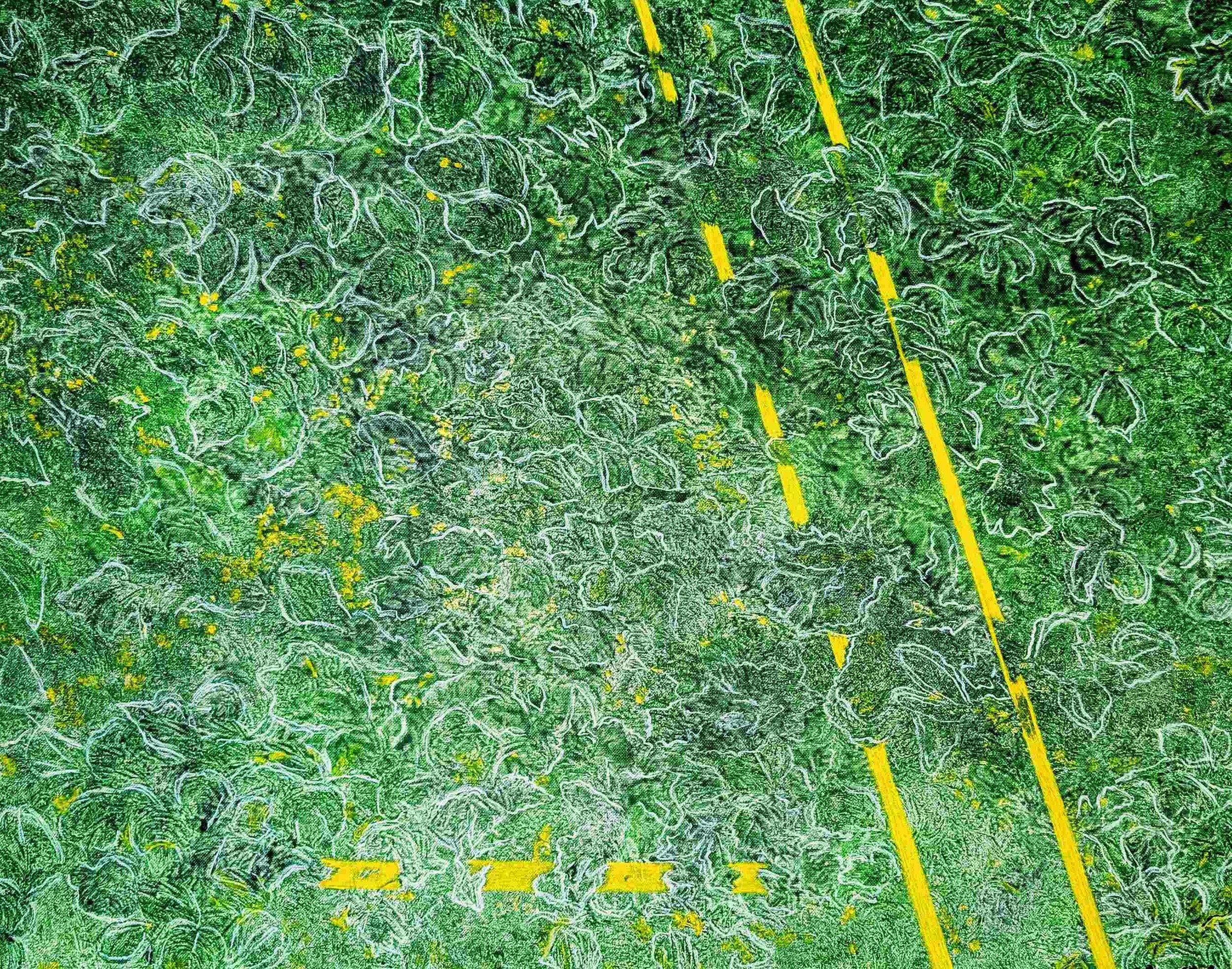    Žalia žalia per visą dangų    60x80 akrilas, drobė