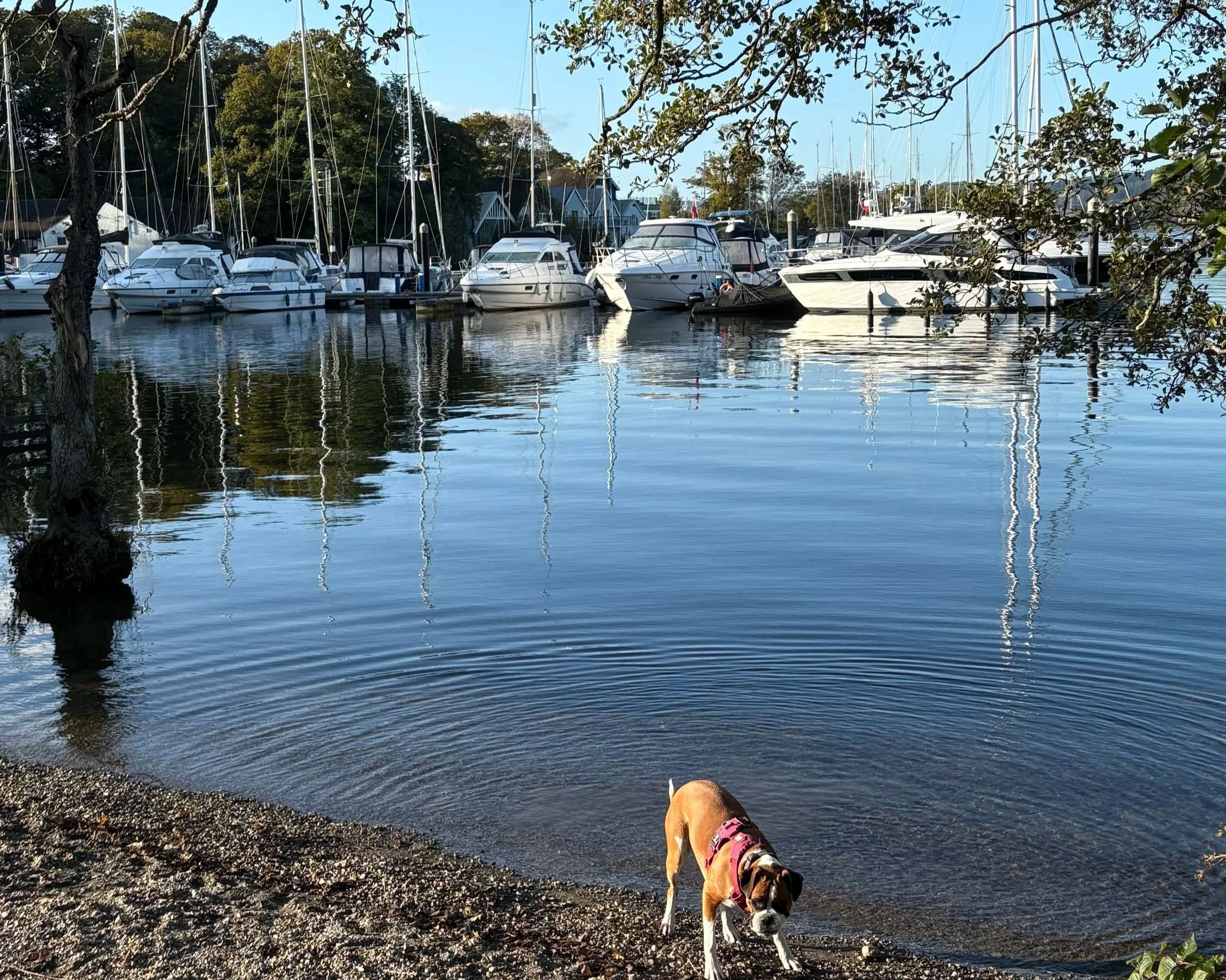 valentines lake district