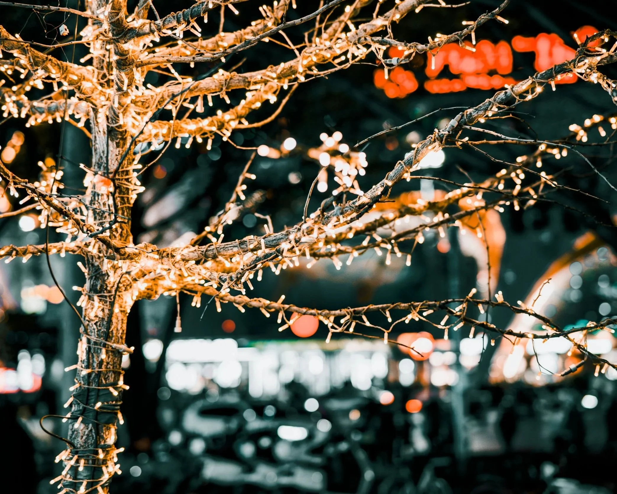 christmas lights on tree