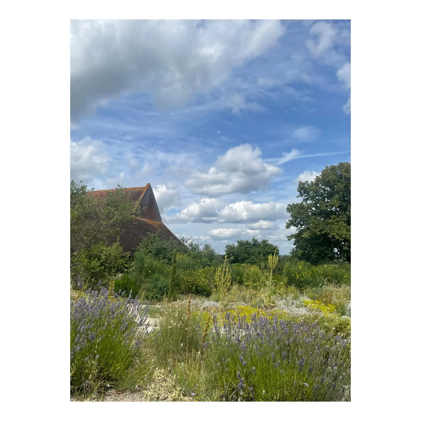 Magical Sissinghurst Castle ✨

Last week I was lucky to spend the afternoon at Sissinghurst, a place I have longed to visit since moving to Kent. The castle itself is really a house and a tower. But the grounds are stunning. It really is the quintess