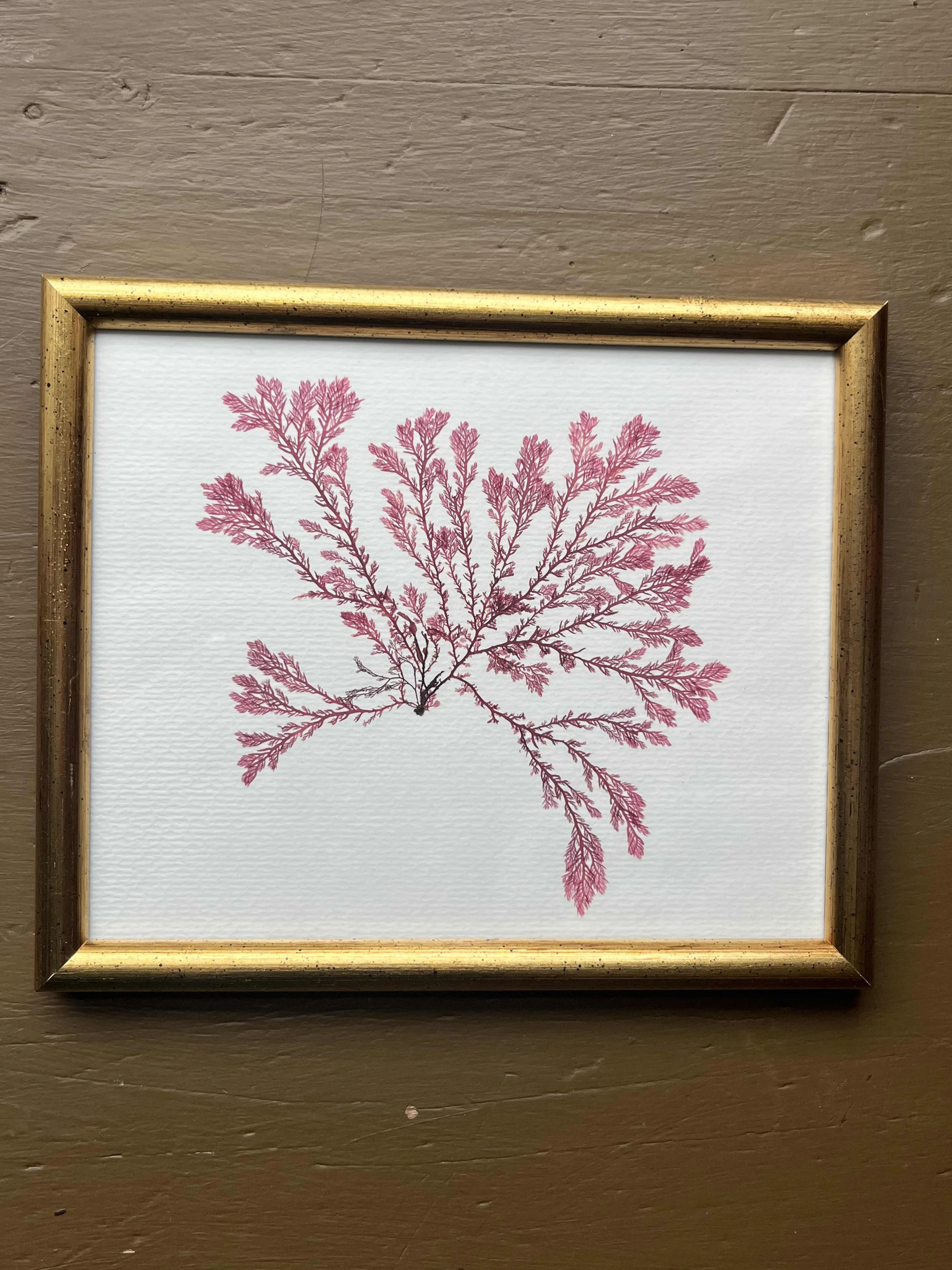 Copy of Copy of Untitled (1).jpg