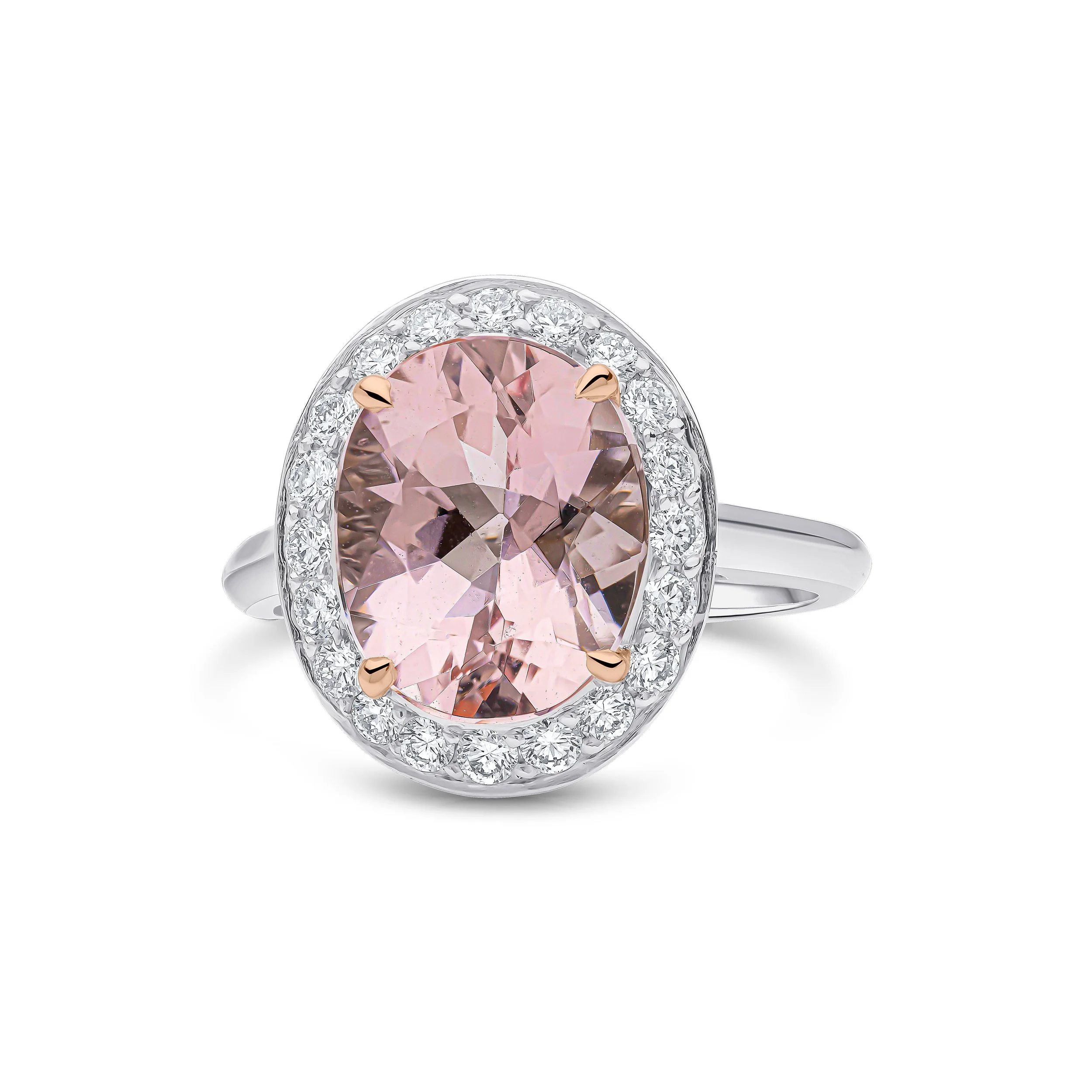 Platinum & 18ct Rose Gold Claw Set Oval Morganite & Diamond Halo Ring