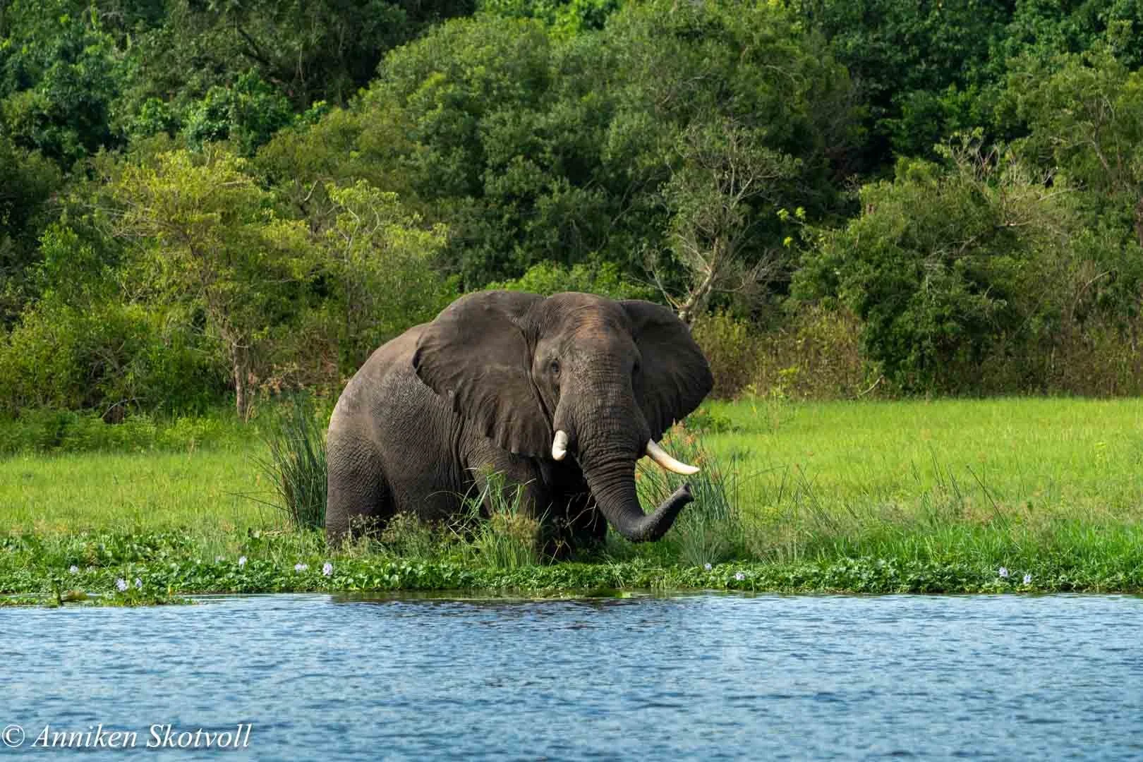 Uganda mai26-09352-3.jpg