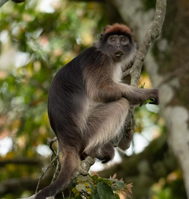 Uganda dag 2 og 3 (285).jpg