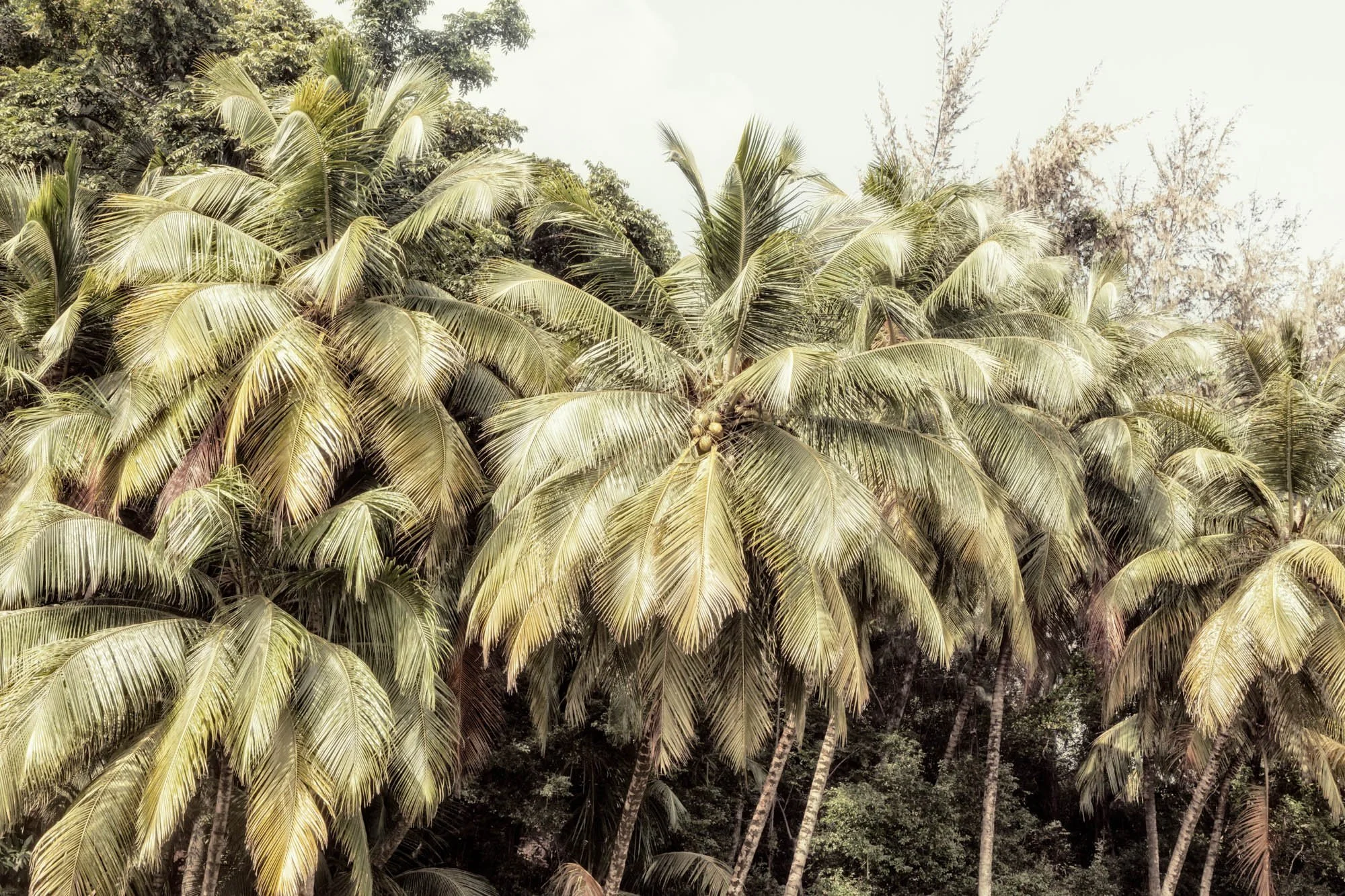 LDKphoto-Back to Guyanna-101.jpg