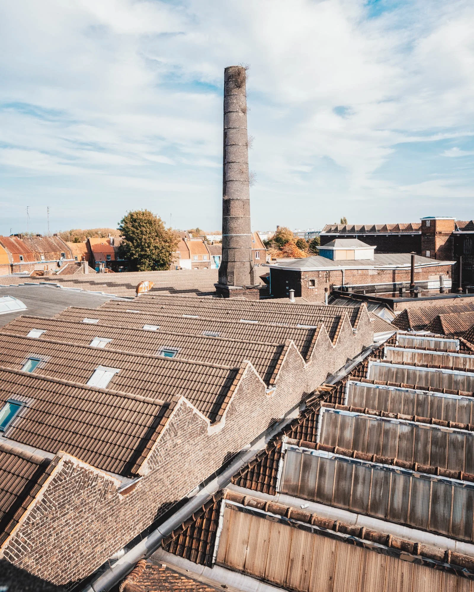 LDKphoto - Sheds (Tissel)-03.jpg