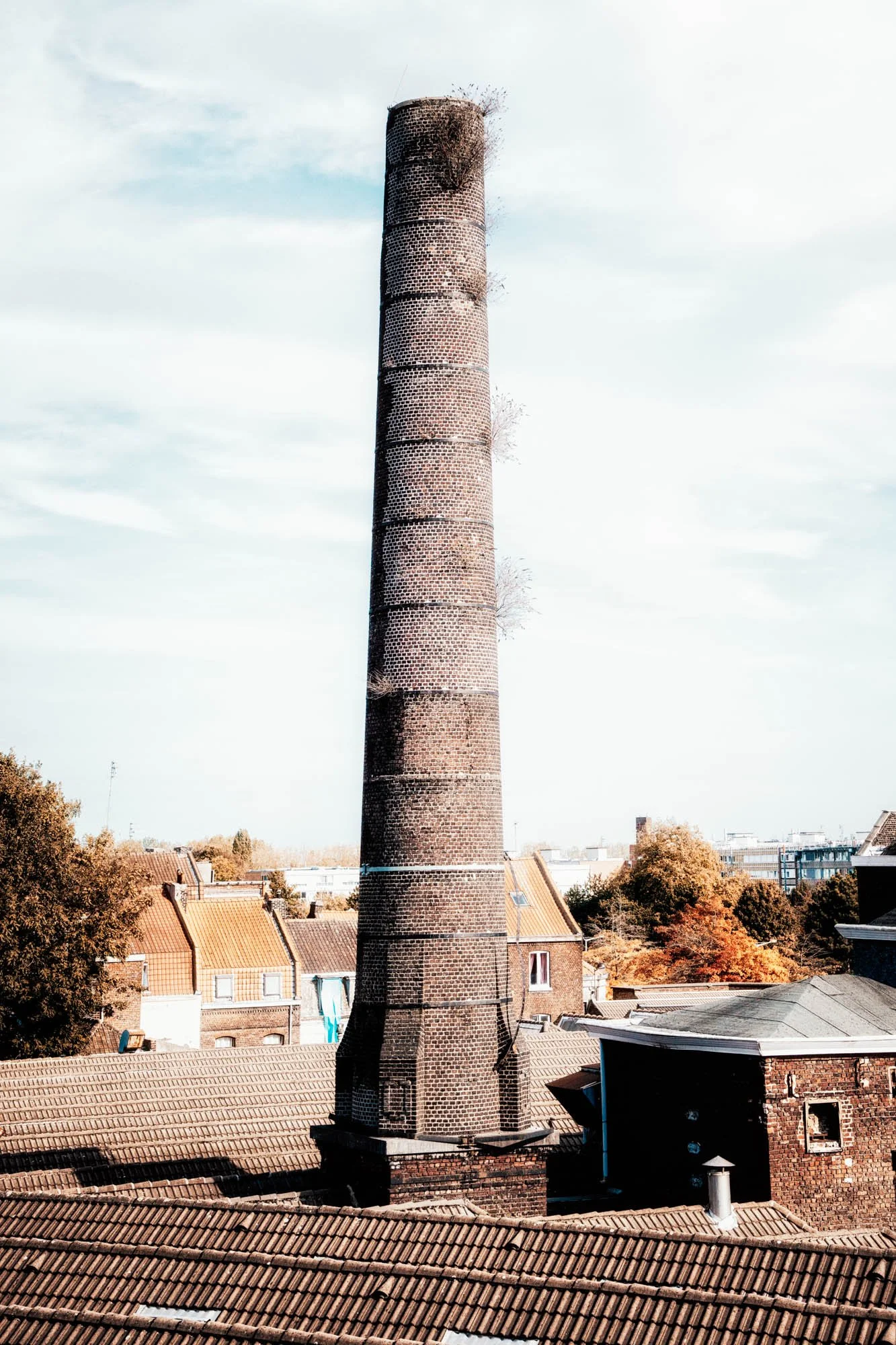 LDKphoto. -Cheminée Tissel-01.jpg