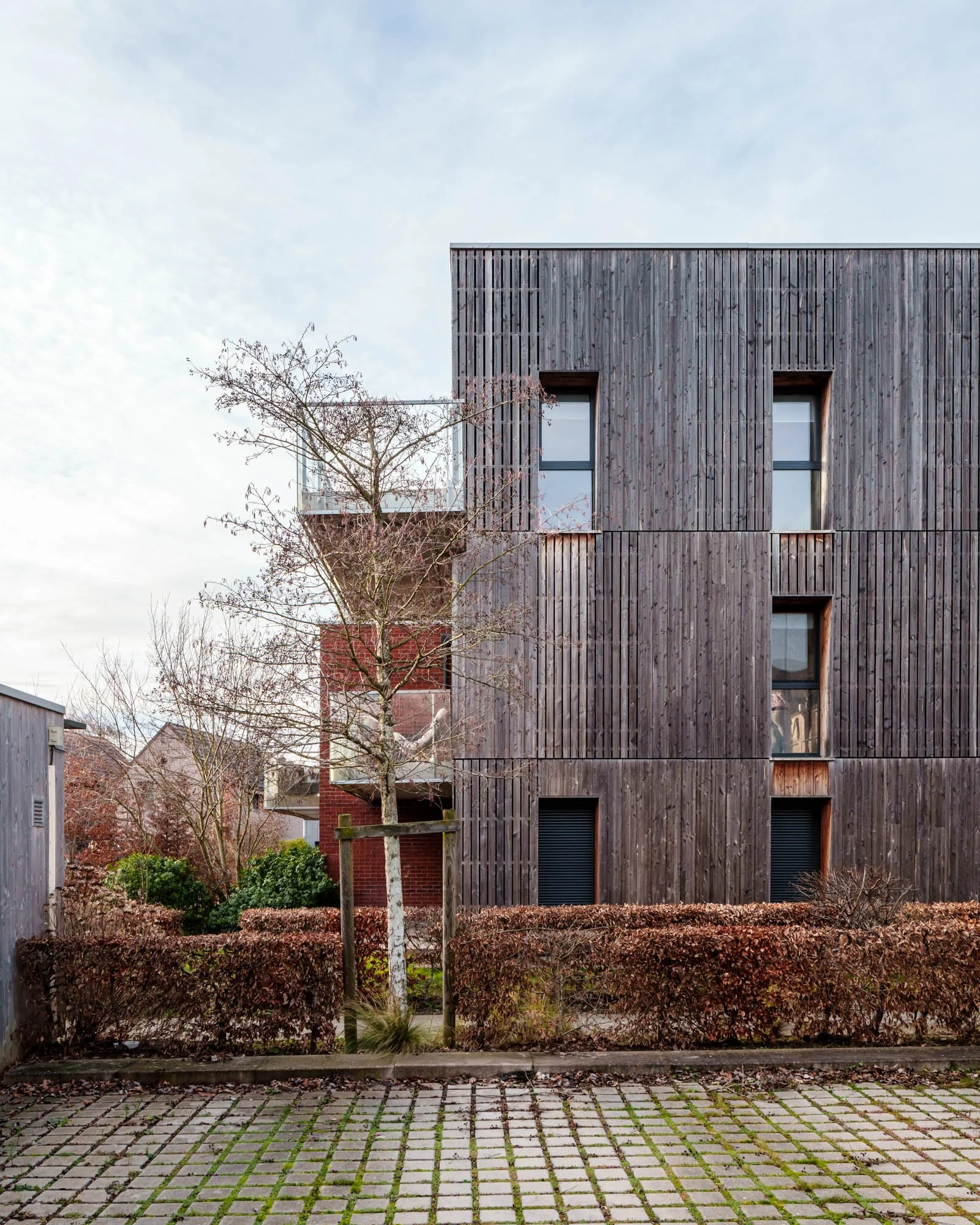 LDKphoto-Hornoy- Sainghin en Mélantois-17.jpg