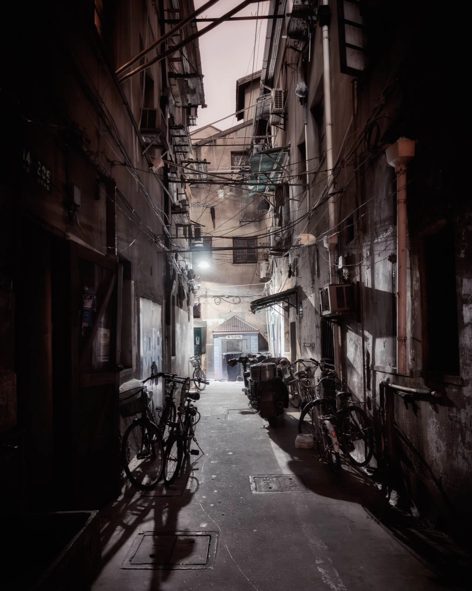 LDkphoto - SHANGHAI-2026-14.jpg