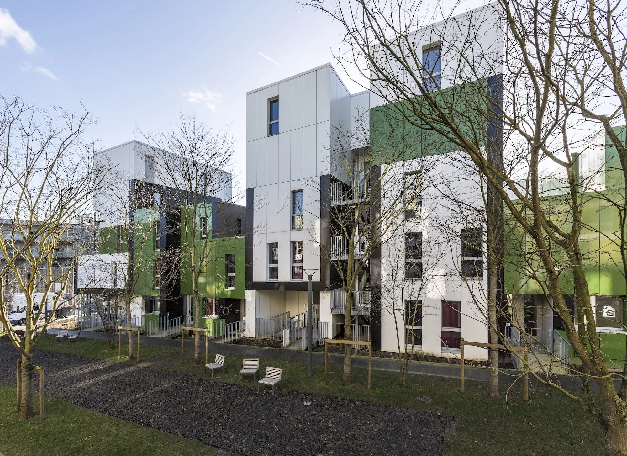 Le Bois Habité - Lot 6