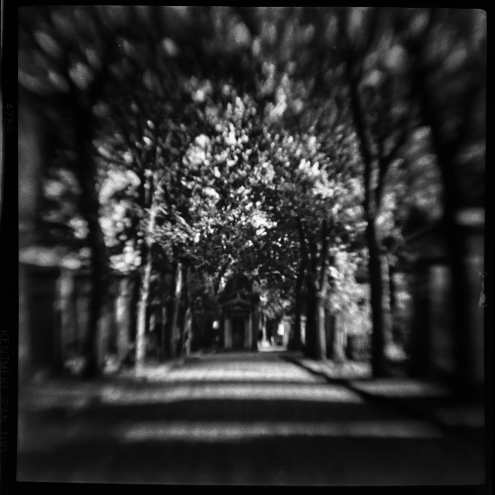 LDKphoto-Paris argentique - brownie flash -25.jpg