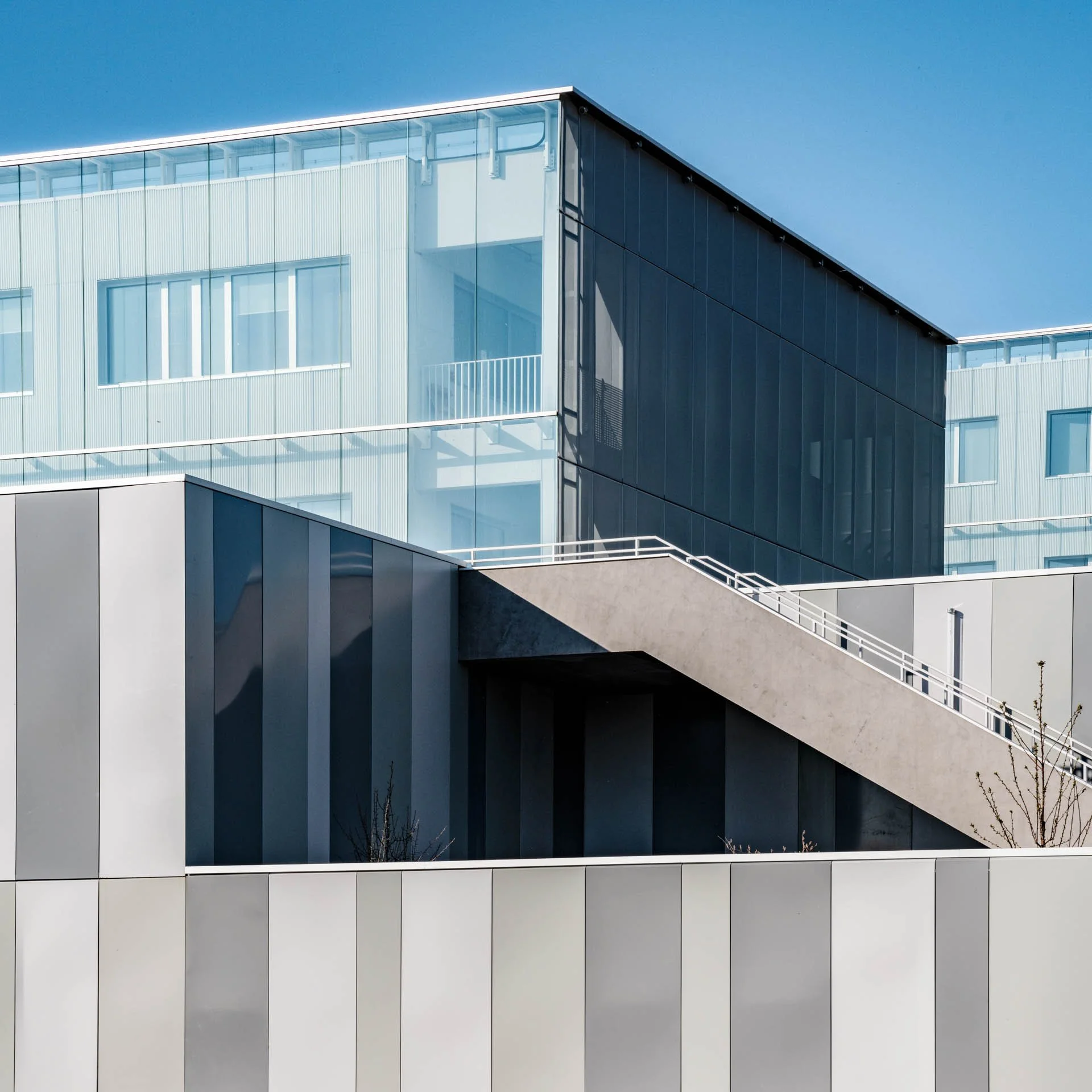 LDKphoto-Relief - ITD - 16.jpg