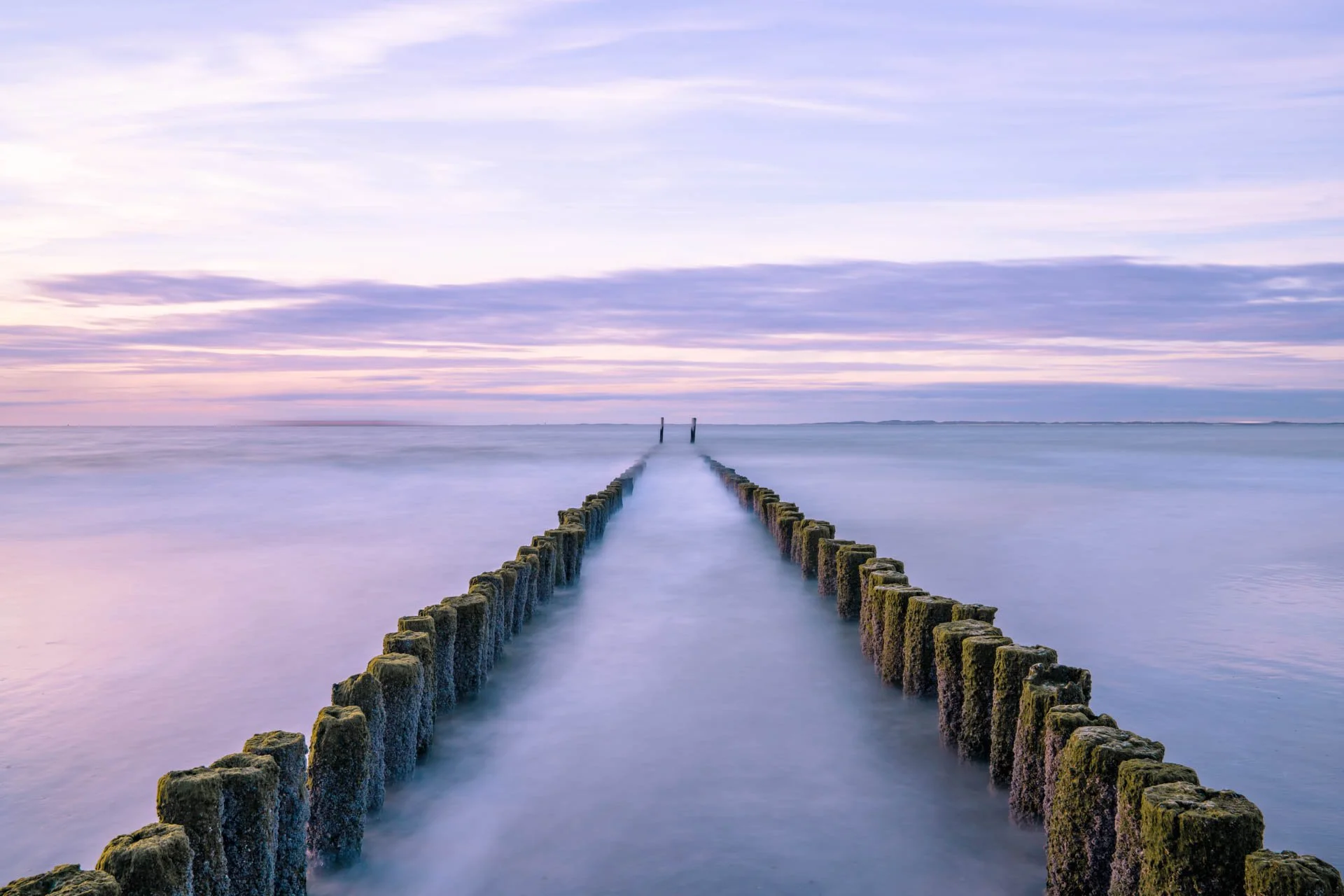 LDKPHOTO - SILENT WATCHMEN I.jpg