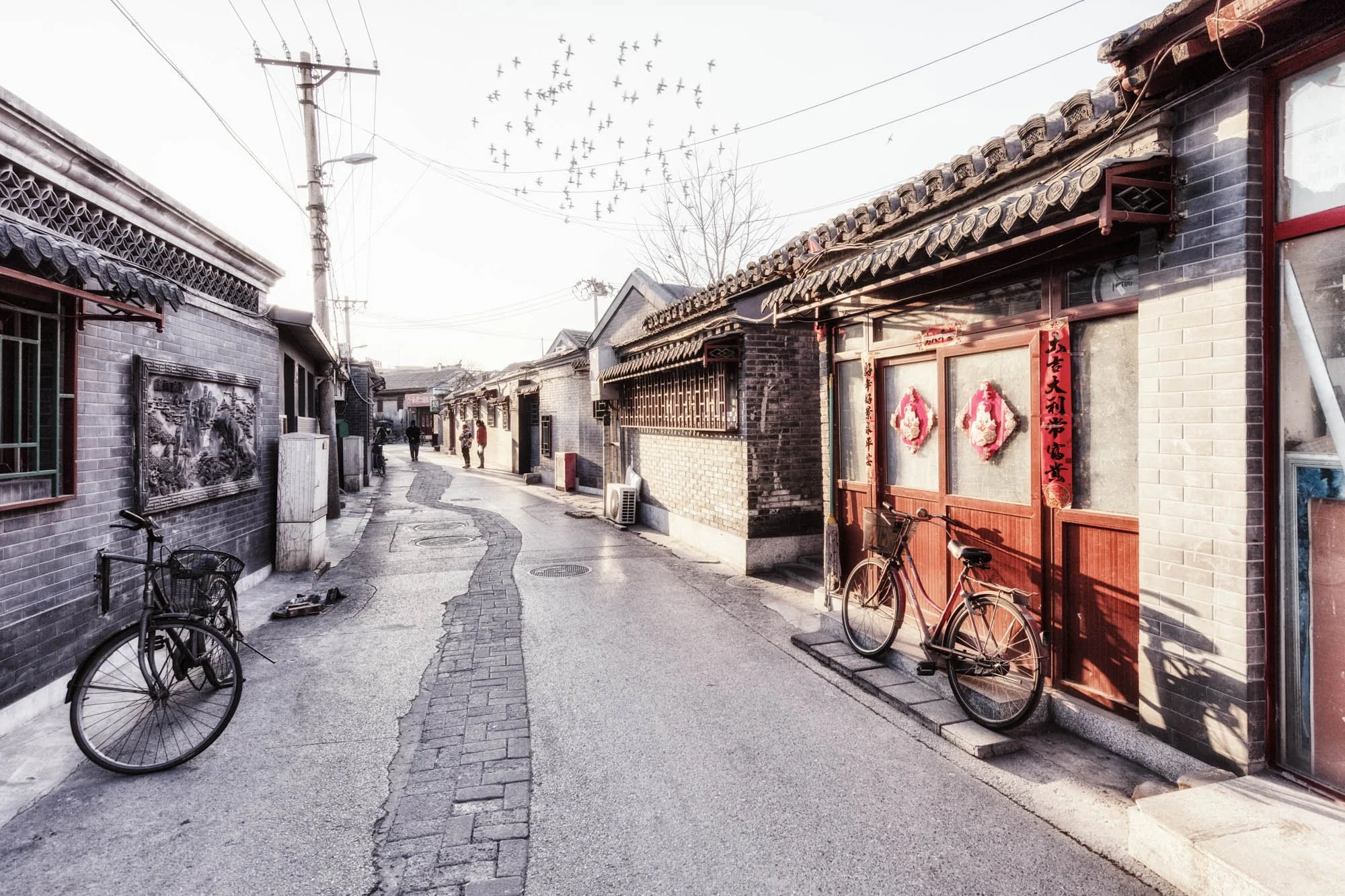 LDKphoto - BEIJING2026-29.jpg