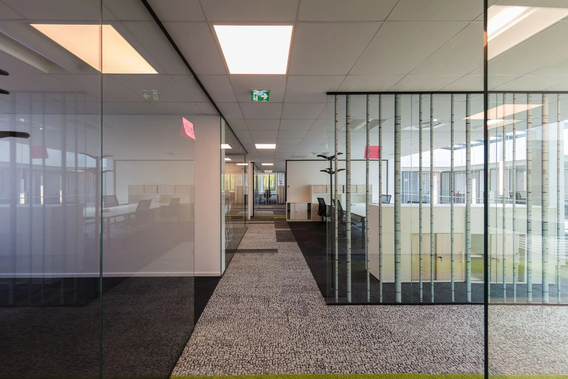 LDKphoto_KPMG_R4A9511.jpg