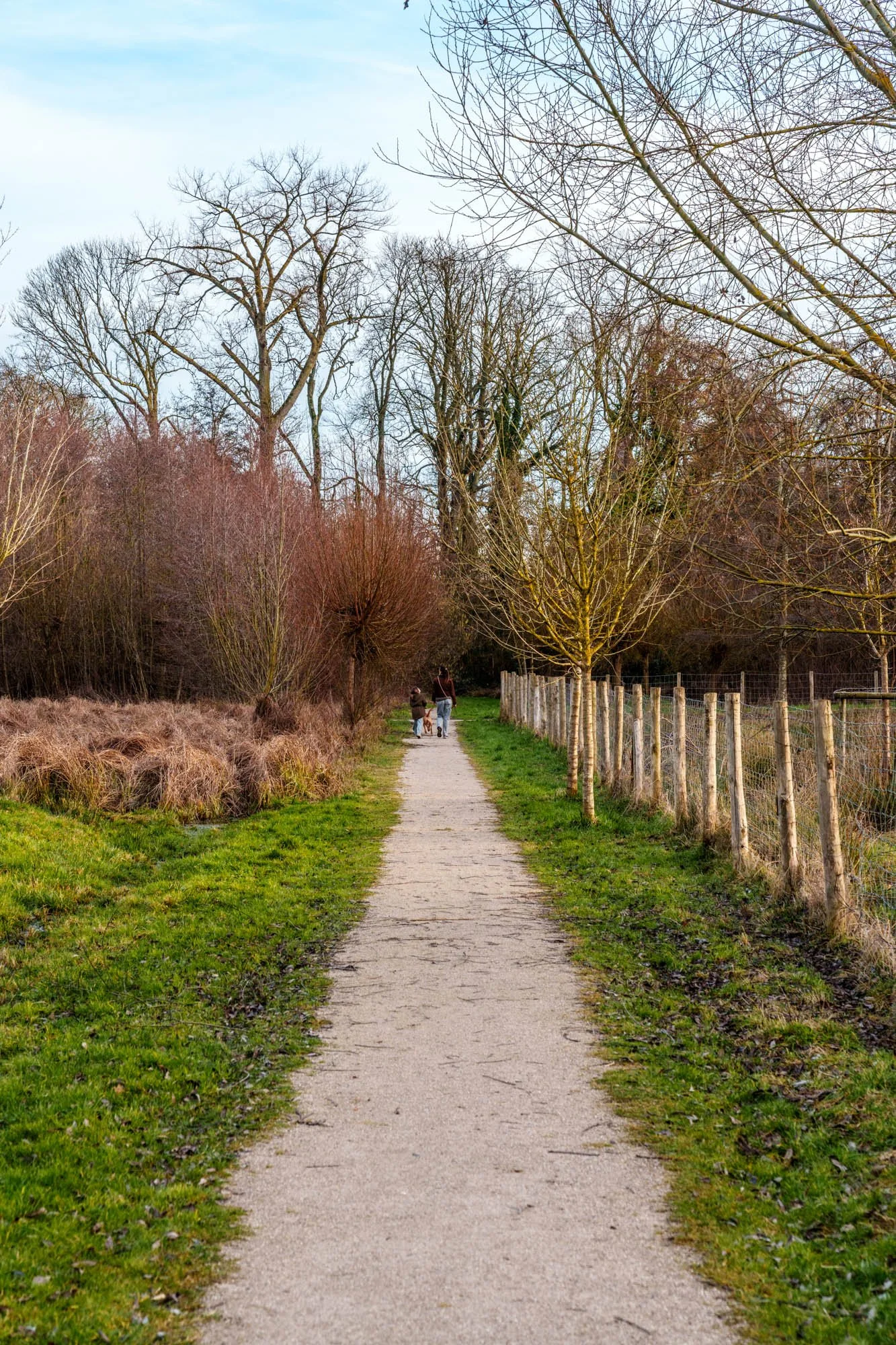 LDKphoto-Hornoy- Sainghin en Mélantois-53.jpg