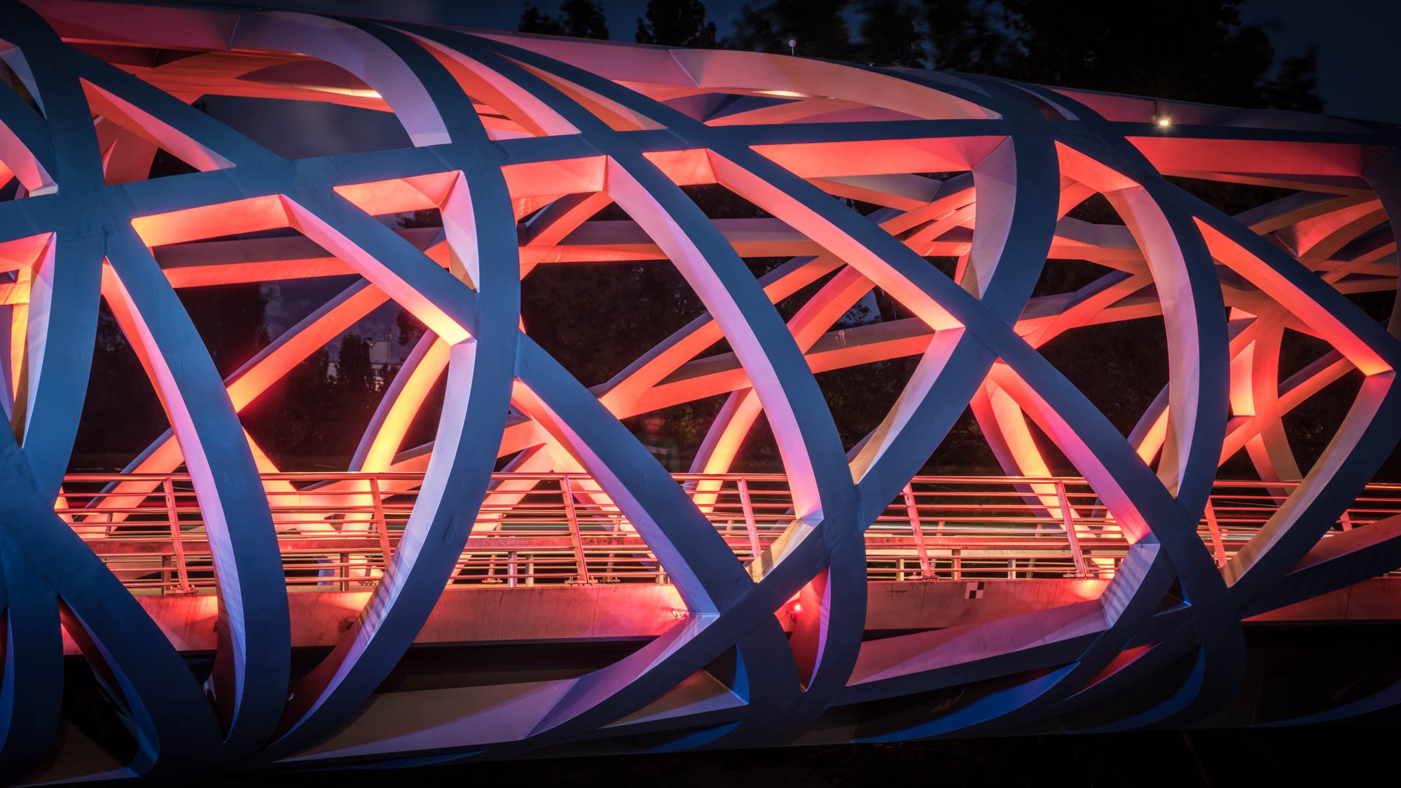 LDKphoto-Pont Hans Wilsdorf - Genève-7.jpg