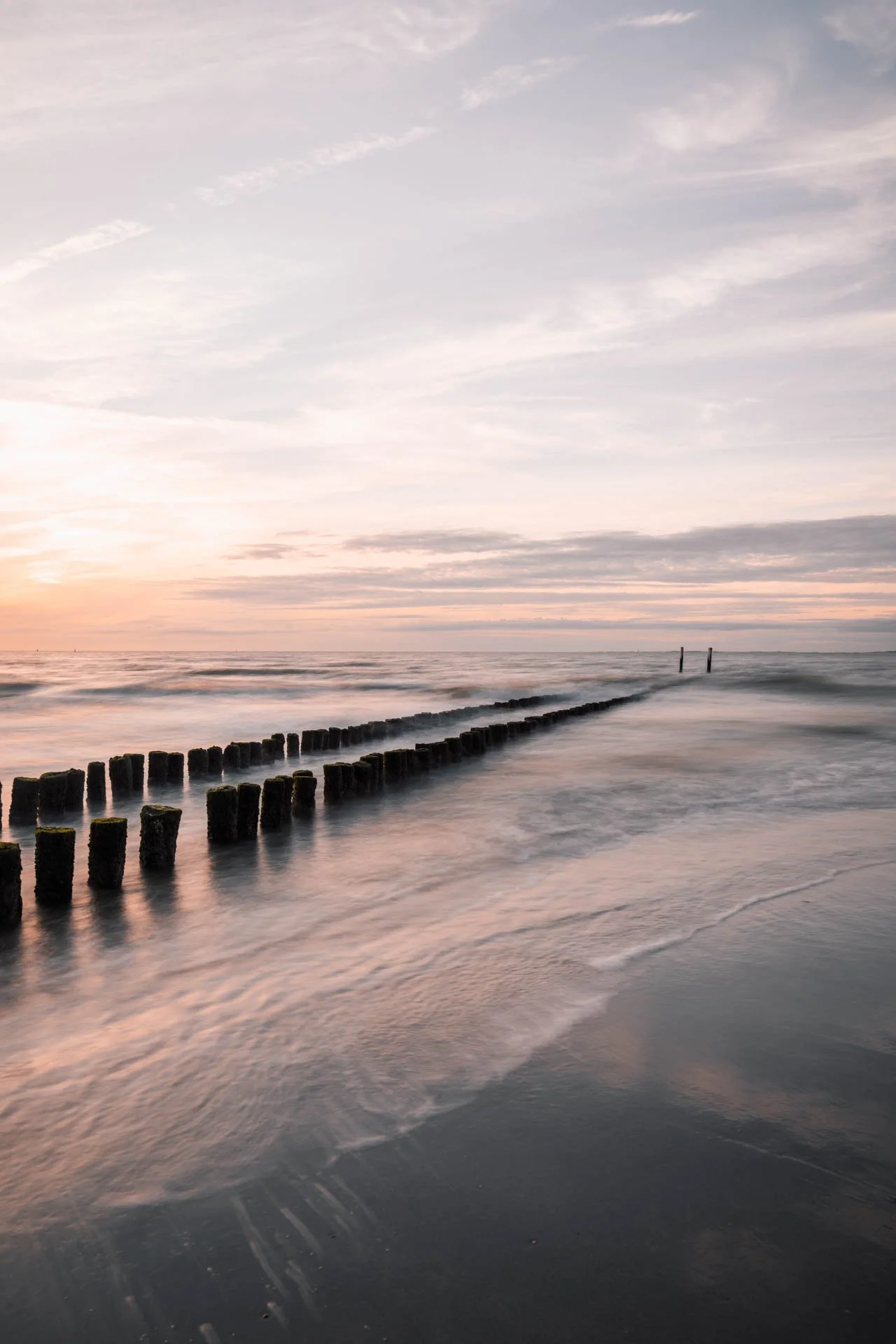 LDKPHOTO - SILENT WATCHMEN V.jpg