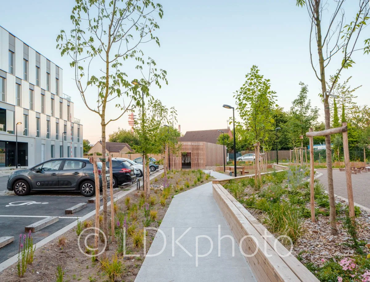 LDKphoto - RELIEF - Pilaterie-58.jpg