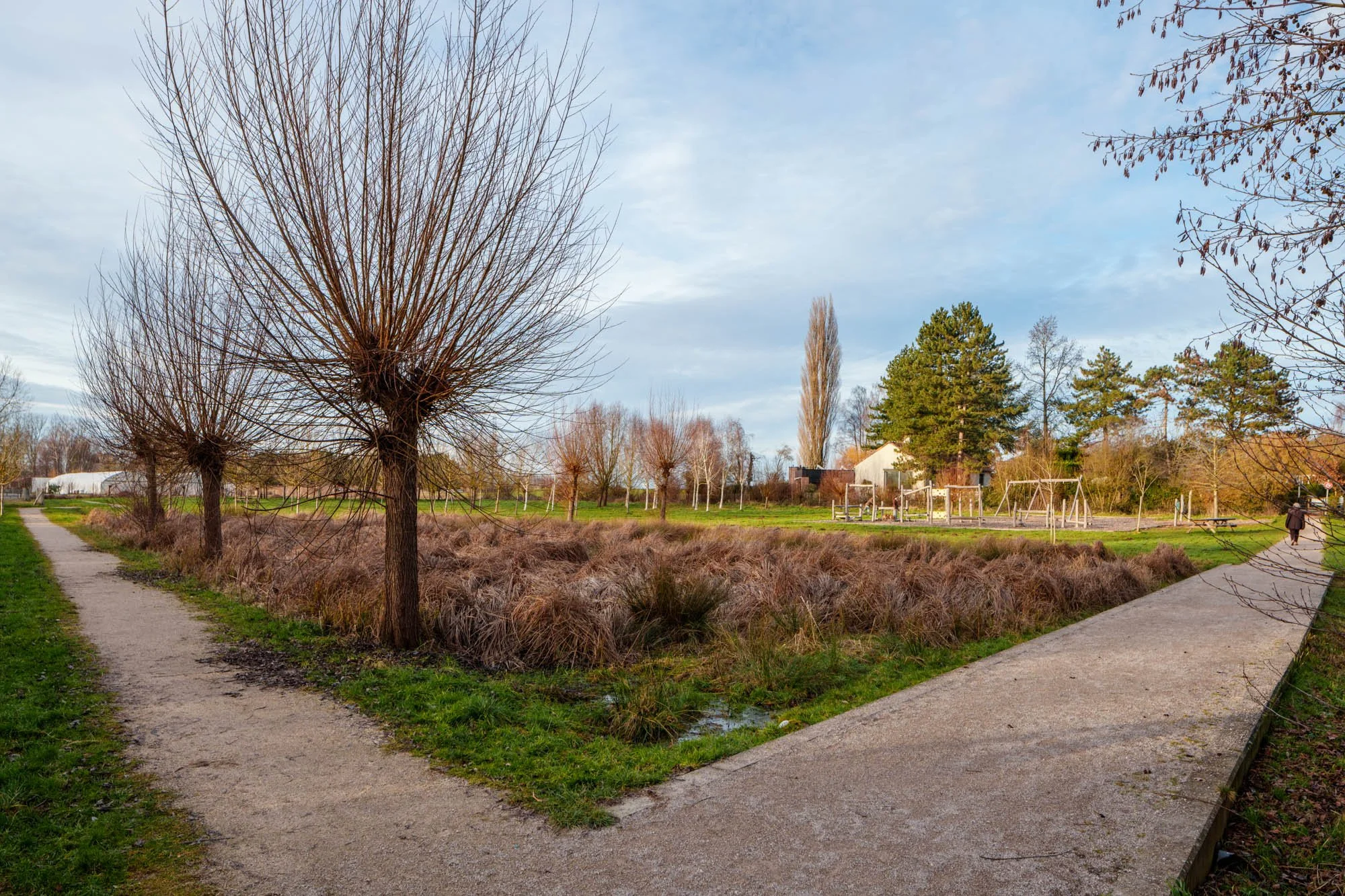 LDKphoto-Hornoy- Sainghin en Mélantois-47.jpg