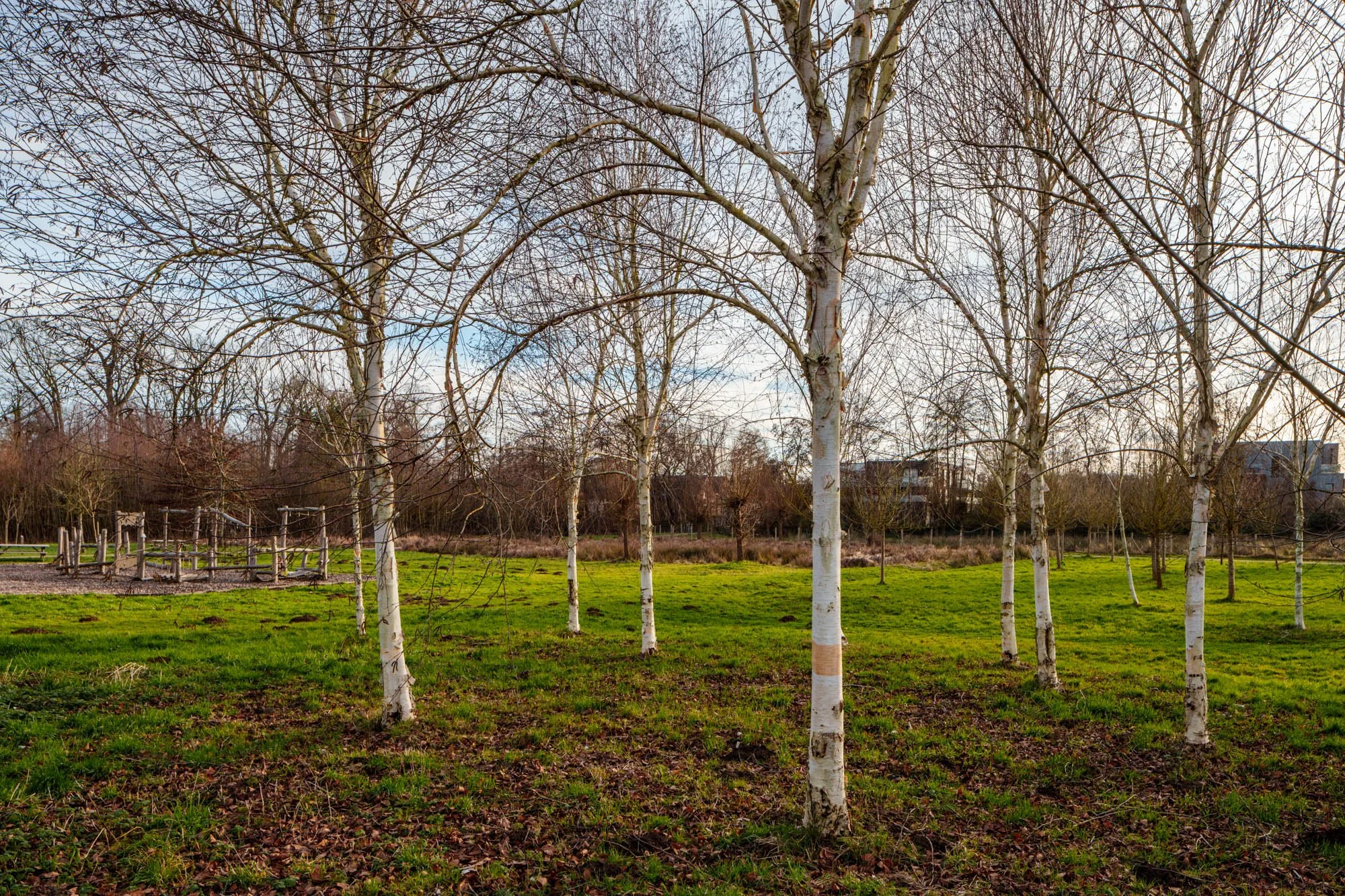 LDKphoto-Hornoy- Sainghin en Mélantois-51.jpg