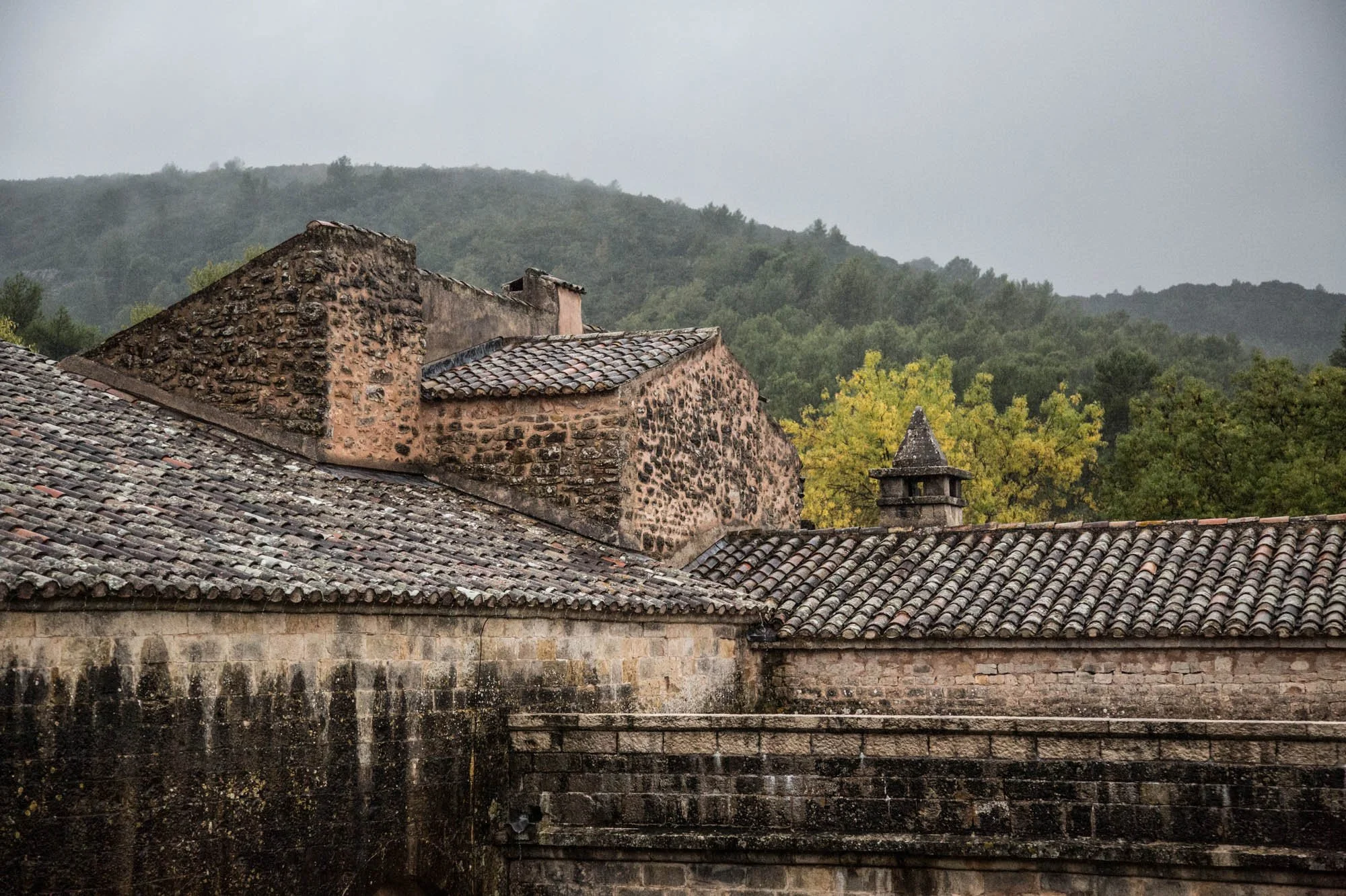 LDKphoto-Abbaye du Thoronet-19.jpg