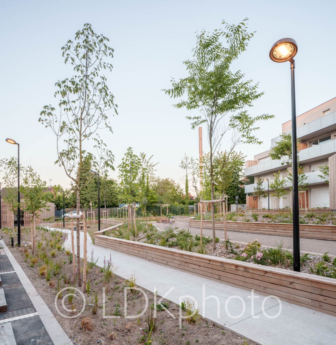 LDKphoto - RELIEF - Pilaterie-56.jpg