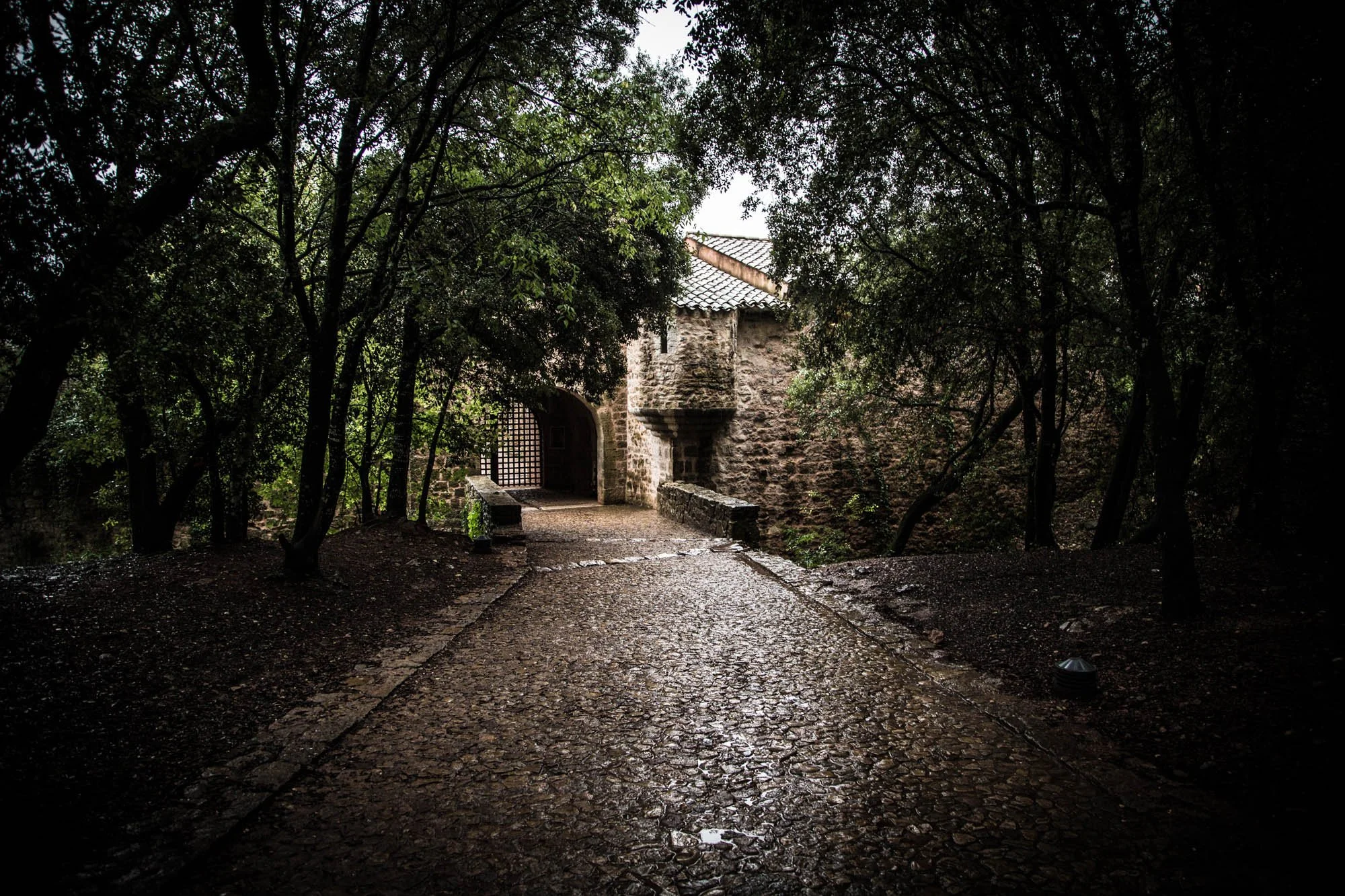 LDKphoto-Abbaye du Thoronet-42.jpg