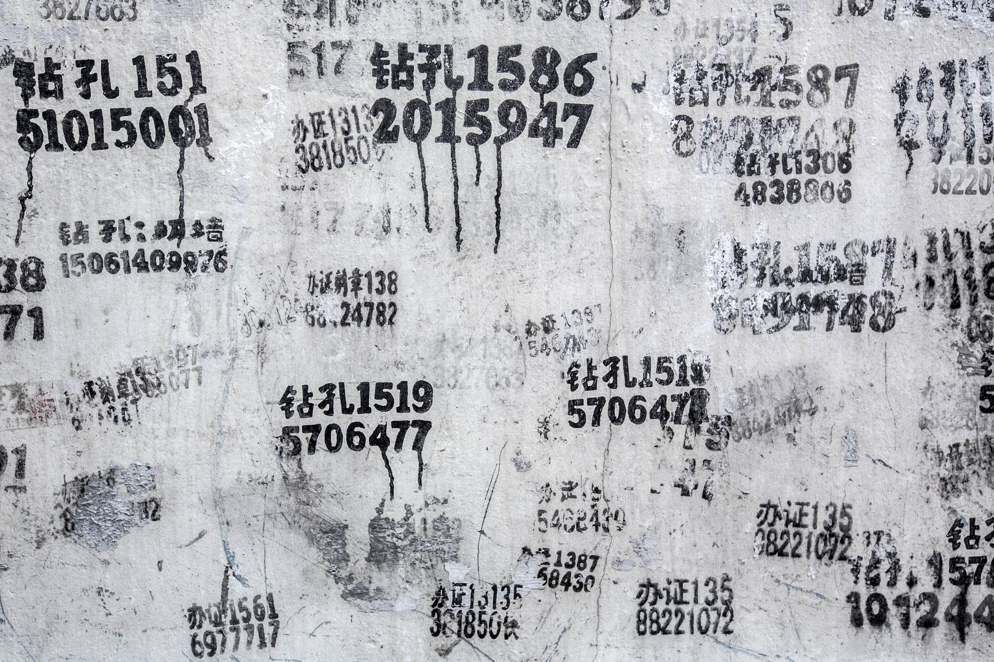 LDkphoto - SHANGHAI-2026-70.jpg