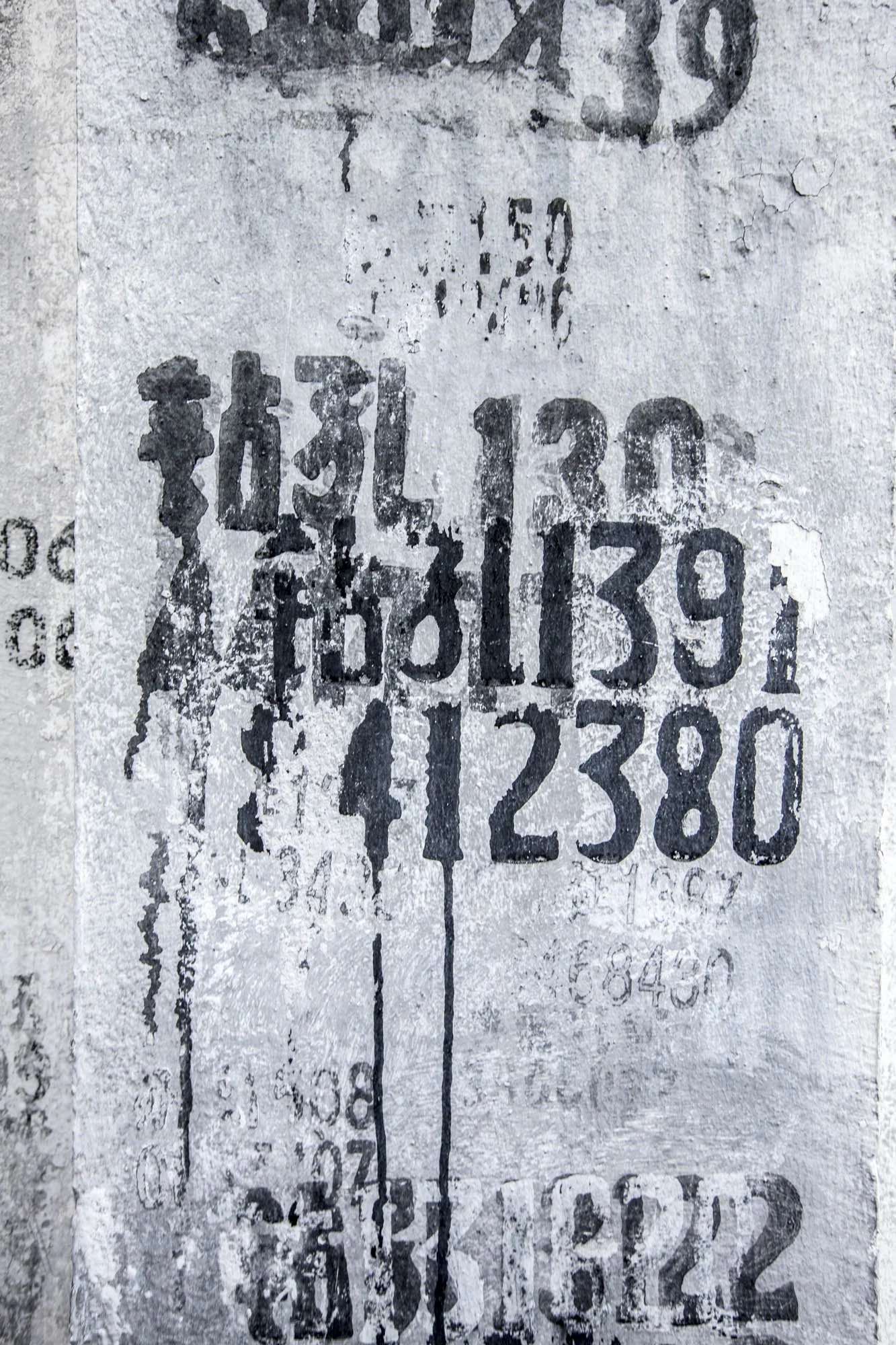 LDkphoto - SHANGHAI-2026-71.jpg