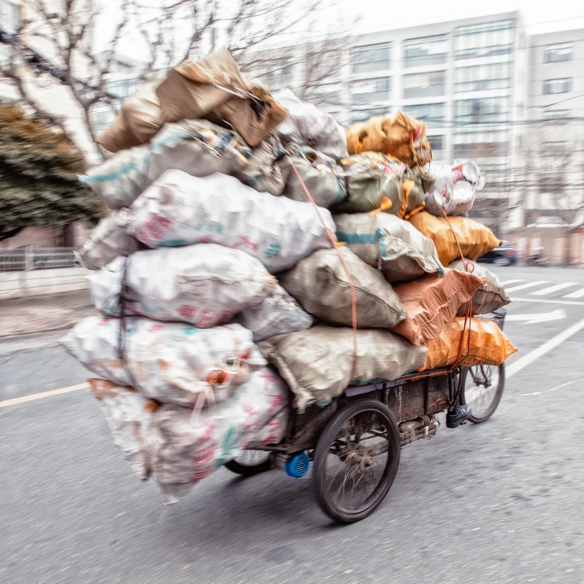 LDkphoto - SHANGHAI-2026-34.jpg