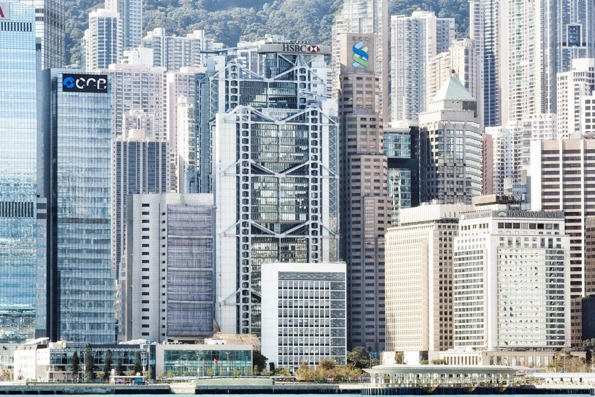 LDKphoto-HONG-KONG-2026-16.jpg