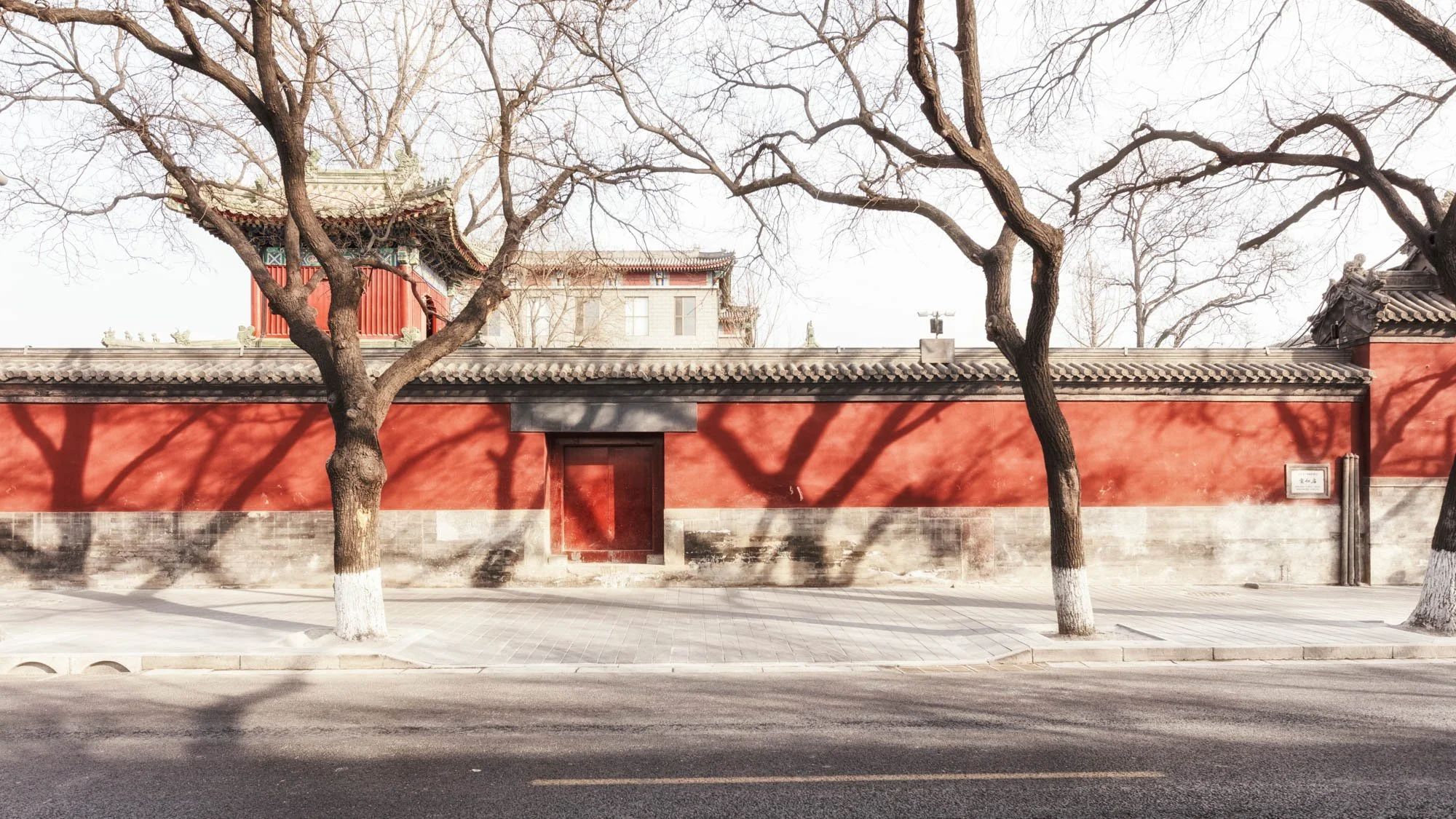 LDKphoto - BEIJING2026-07.jpg