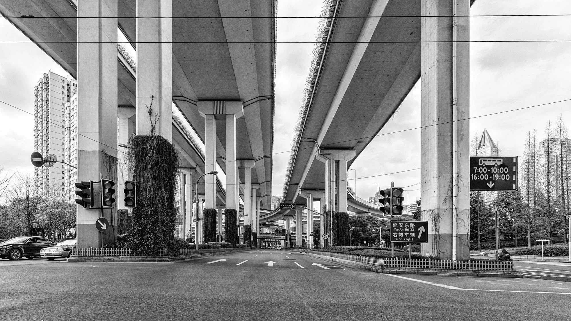 LDkphoto - SHANGHAI-2026-08.jpg