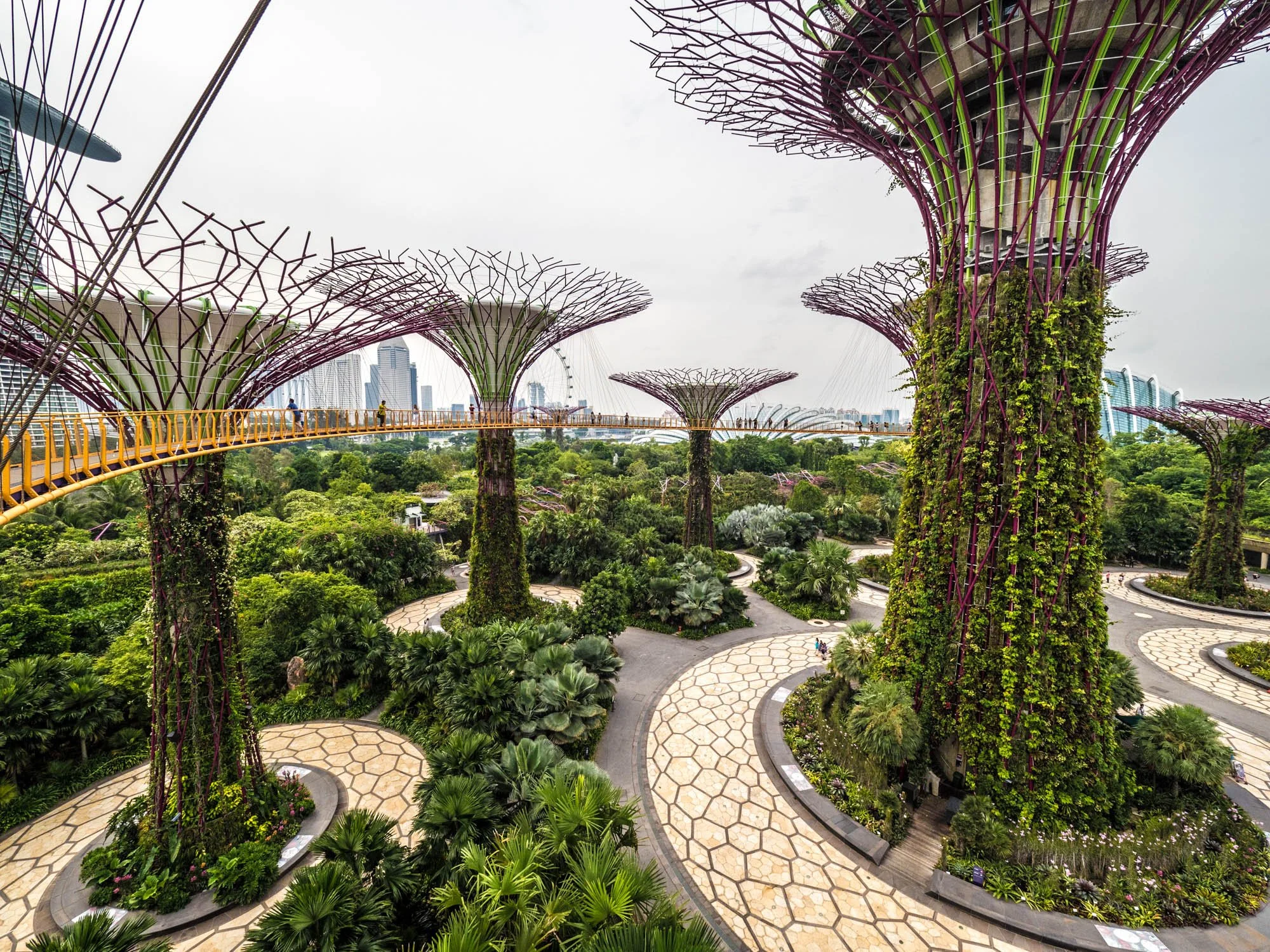 LDKphoto - Singapore - Supertree - 03.jpg