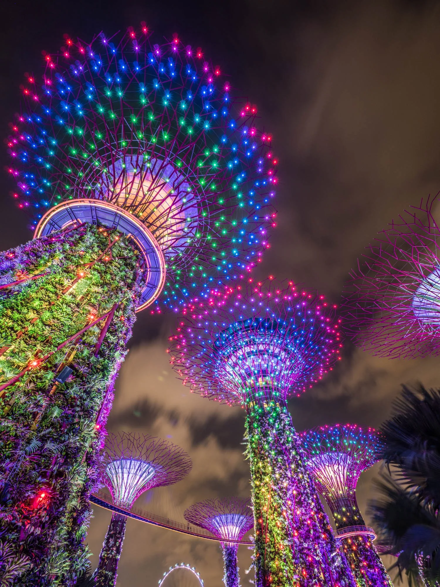 LDKphoto - Singapore - Supertree - 10.jpg