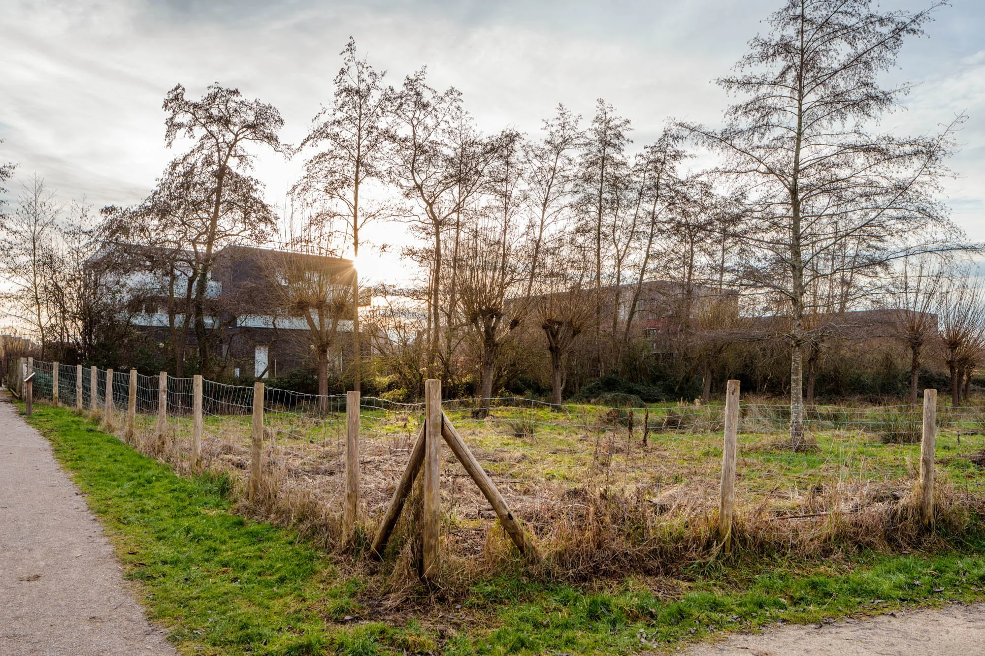 LDKphoto-Hornoy- Sainghin en Mélantois-48.jpg