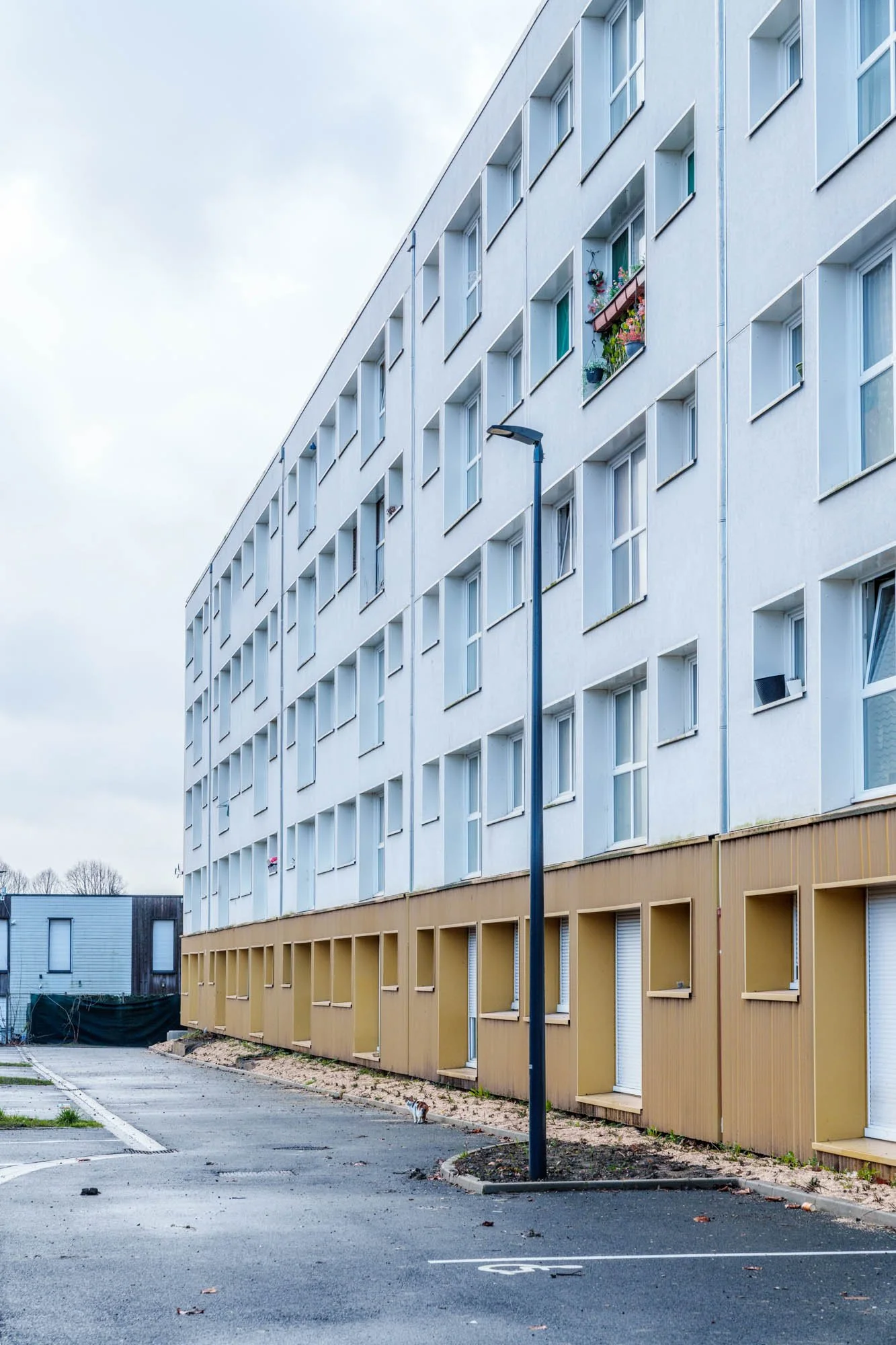 LDKphoto-Hornoy- Bd des Couteaux-14.jpg