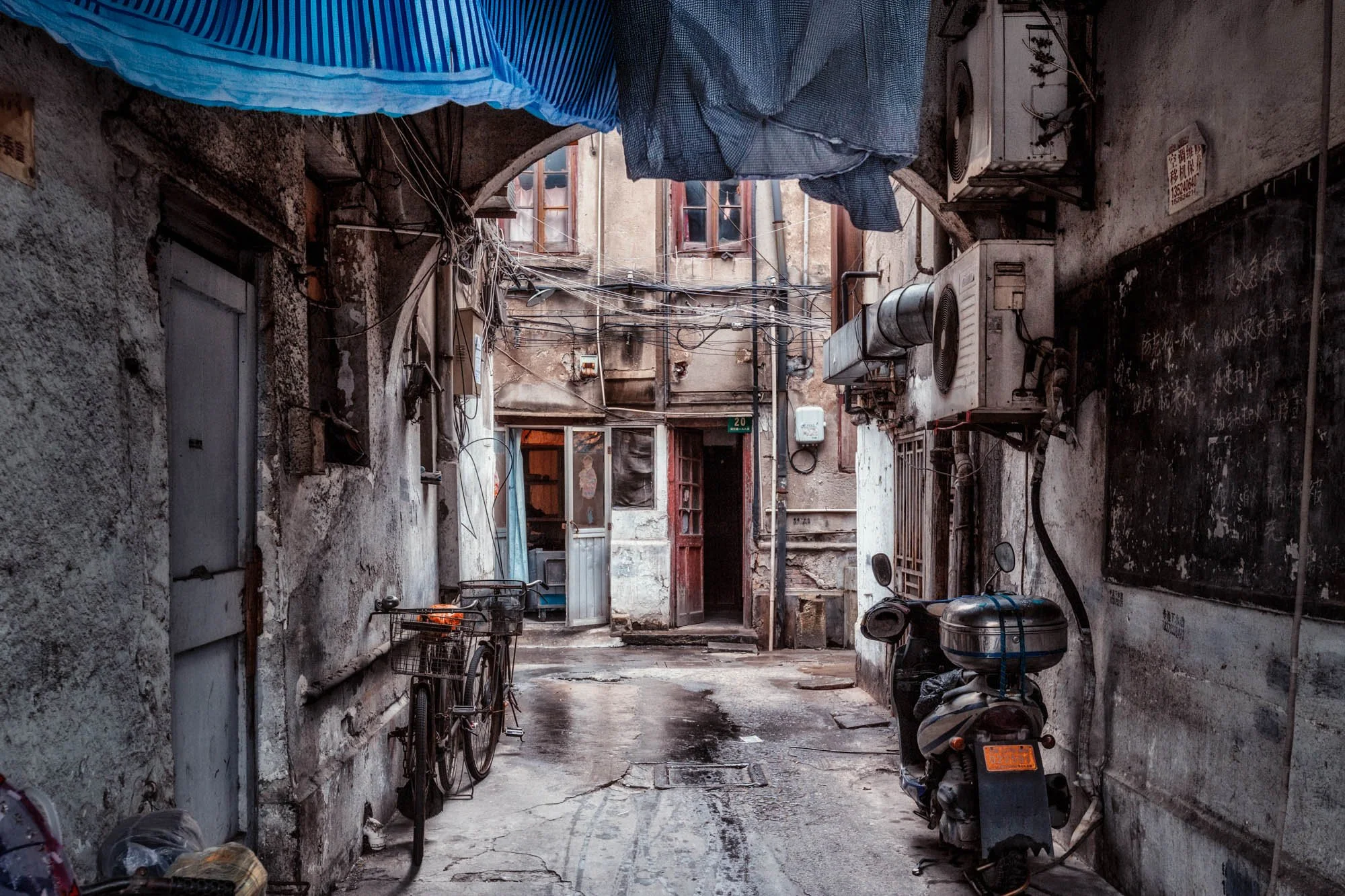 LDkphoto - SHANGHAI-2026-46.jpg