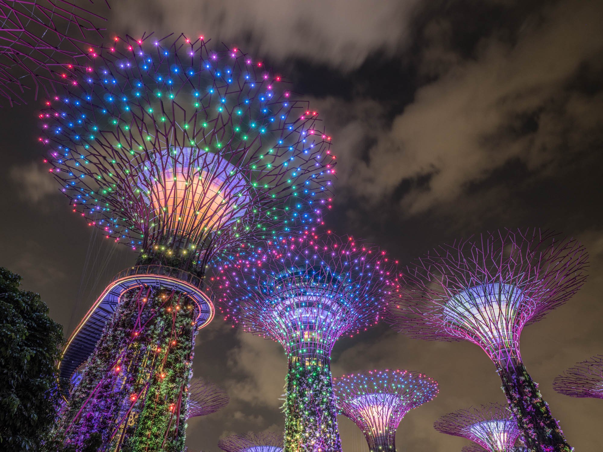 LDKphoto - Singapore - Supertree - 09.jpg
