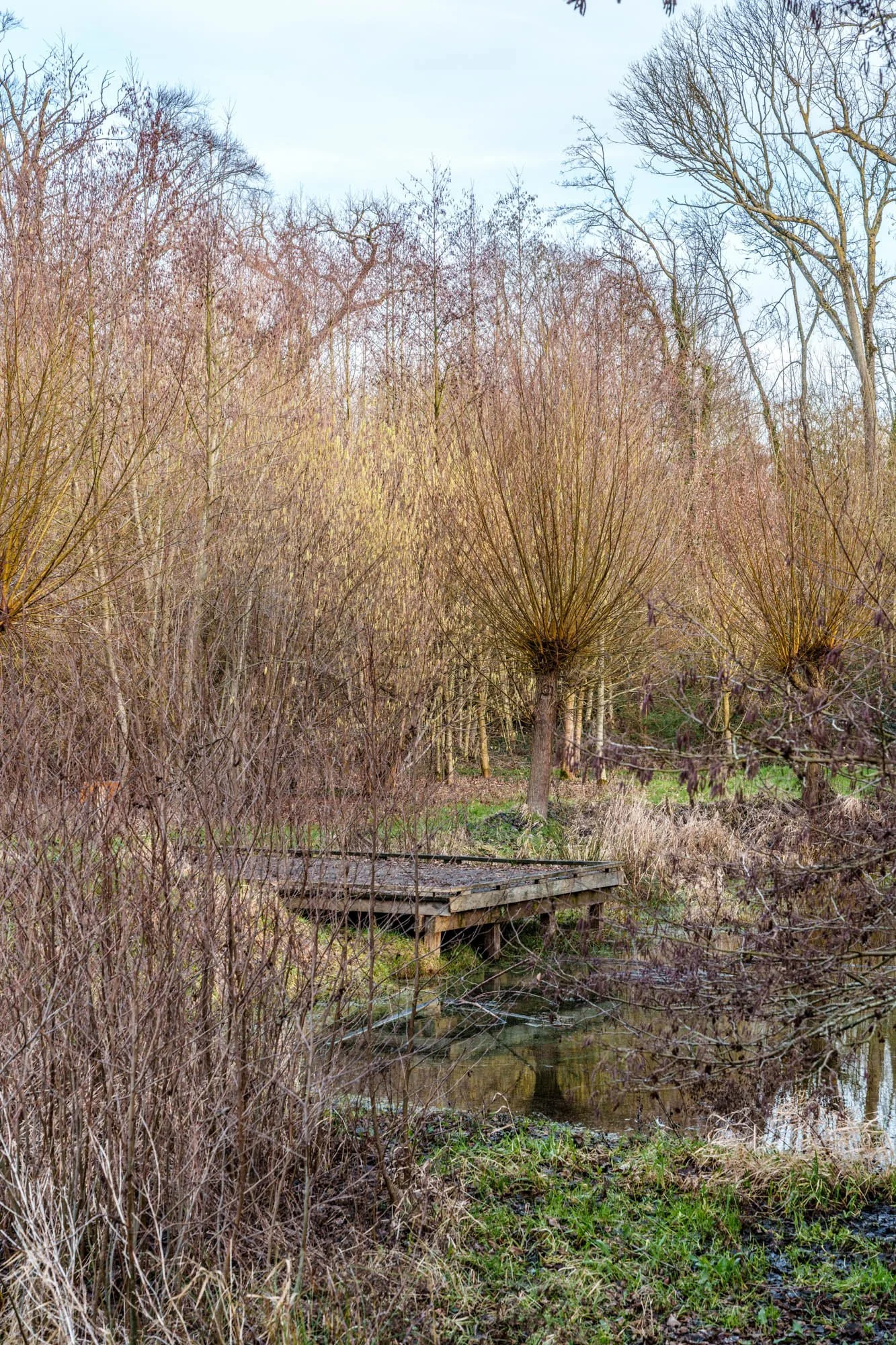 LDKphoto-Hornoy- Sainghin en Mélantois-57.jpg