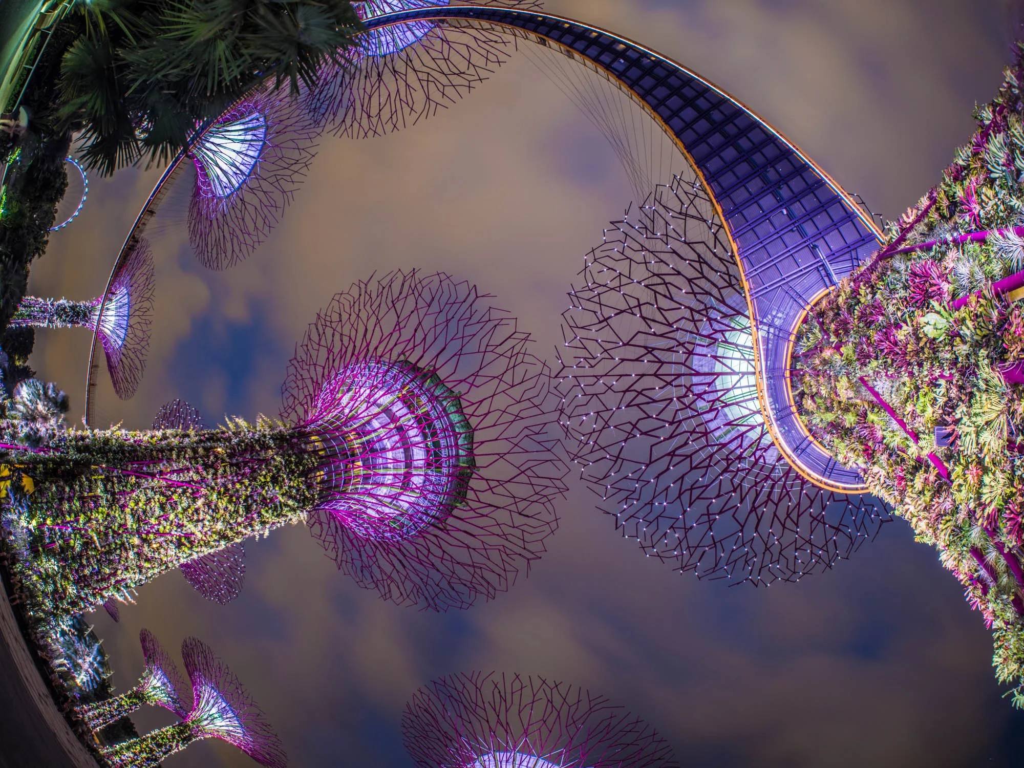 LDKphoto - Singapore - Supertree - 05.jpg