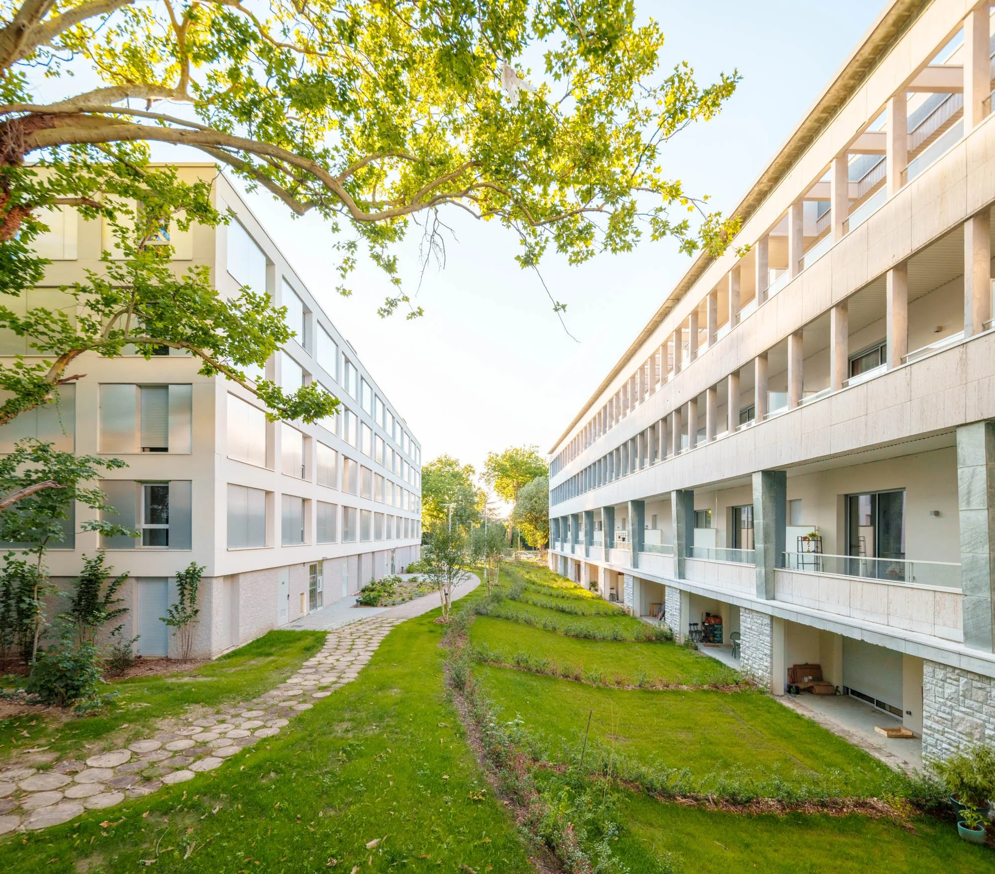 LDKphoto - Relief - Av de la Marne TG-61.jpg