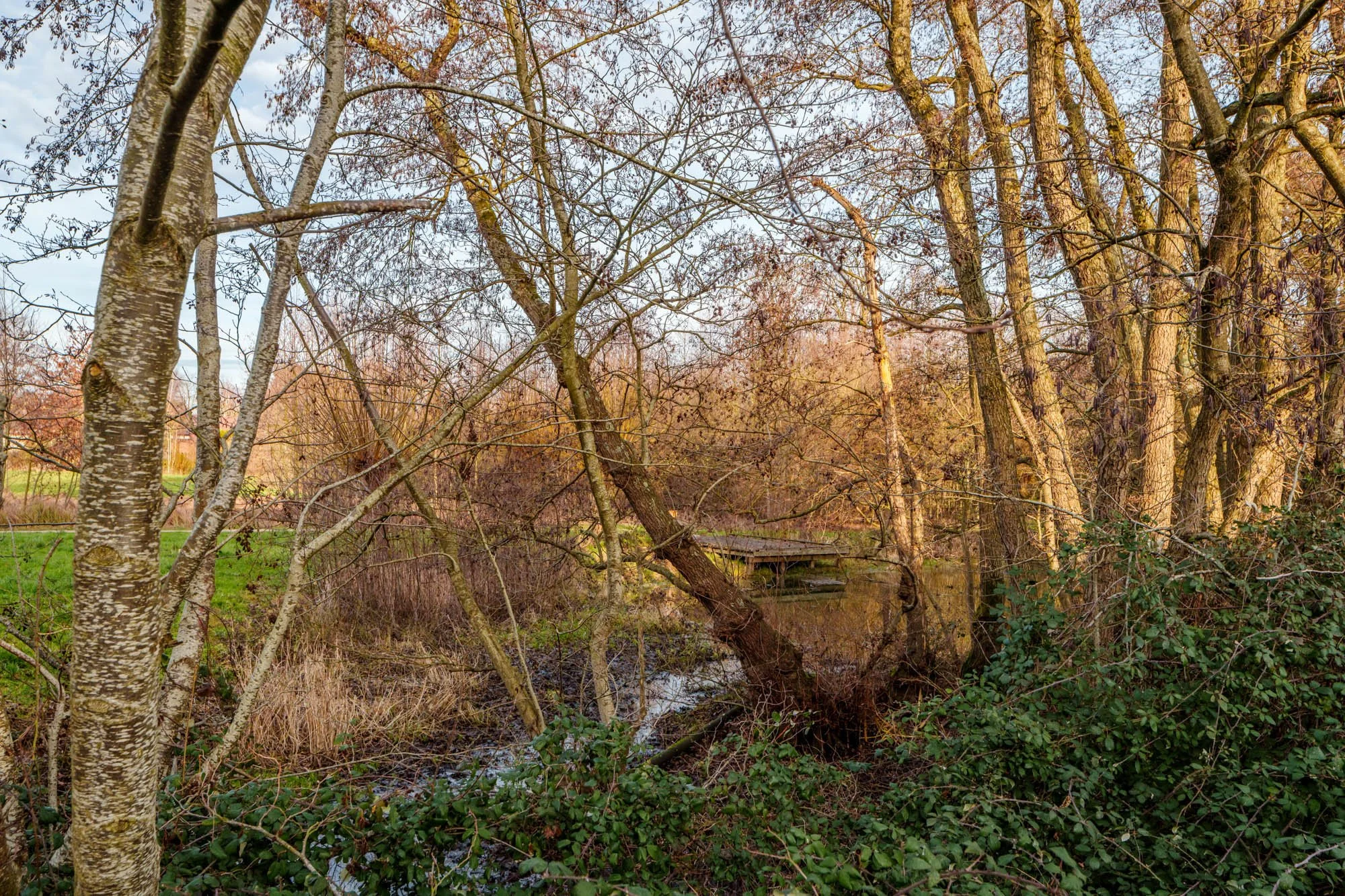 LDKphoto-Hornoy- Sainghin en Mélantois-46.jpg